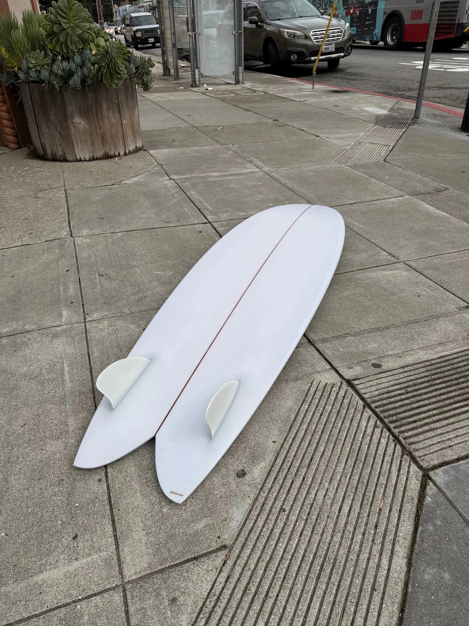 6'4 Elmore Longer Fish - Mollusk Surf Shop