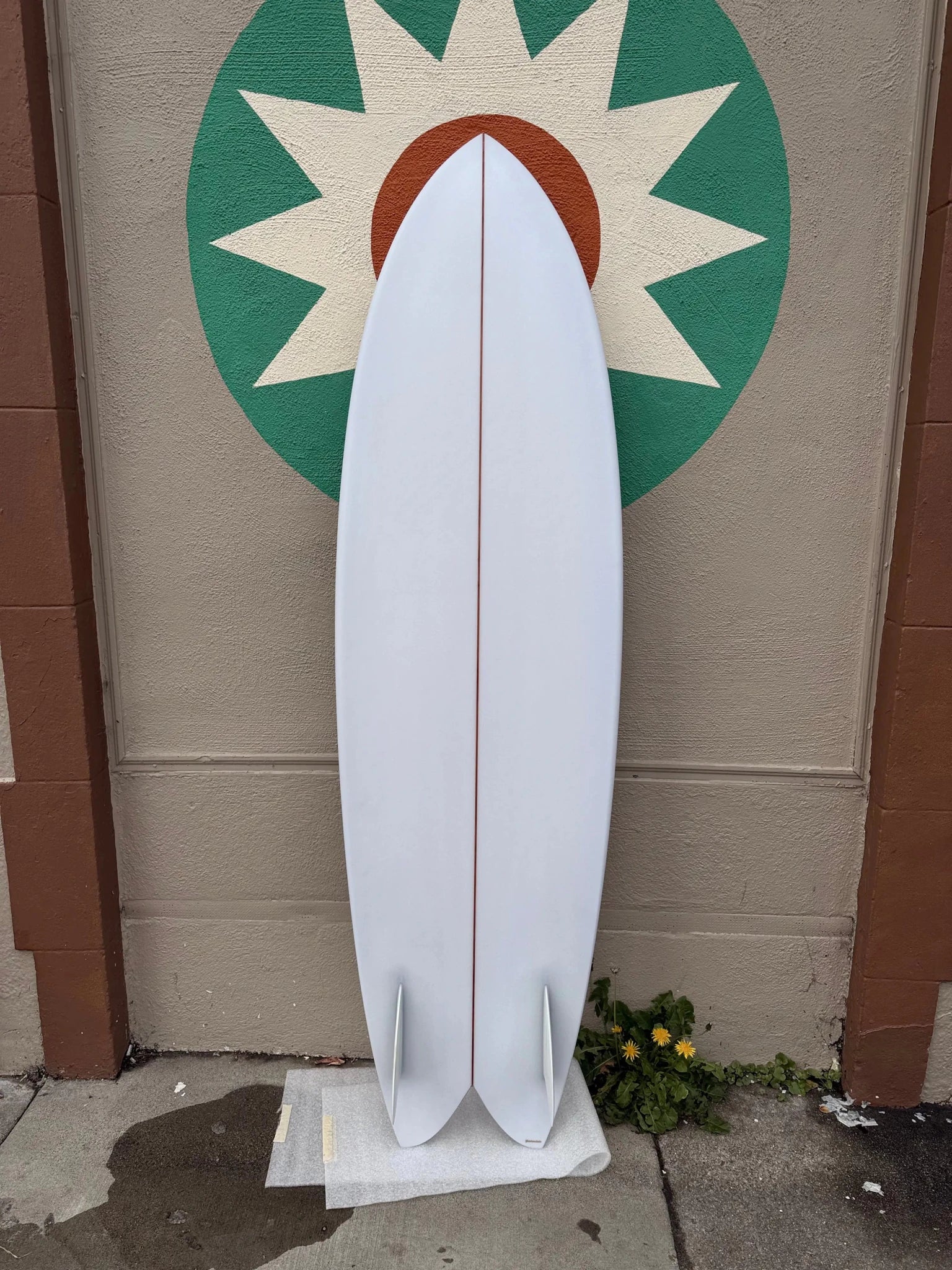 6'4 Elmore Longer Fish - Mollusk Surf Shop