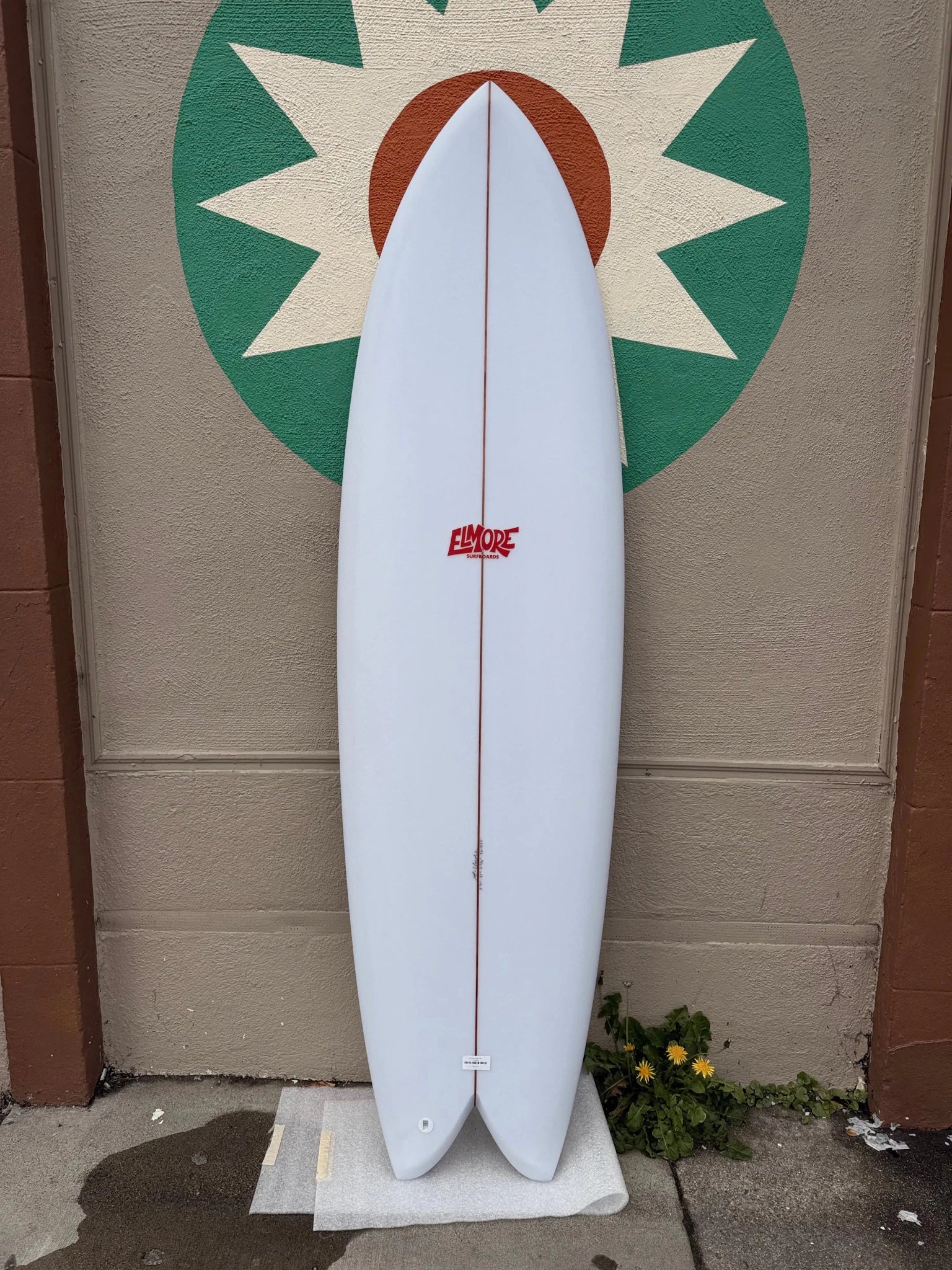 6'4 Elmore Longer Fish - Mollusk Surf Shop