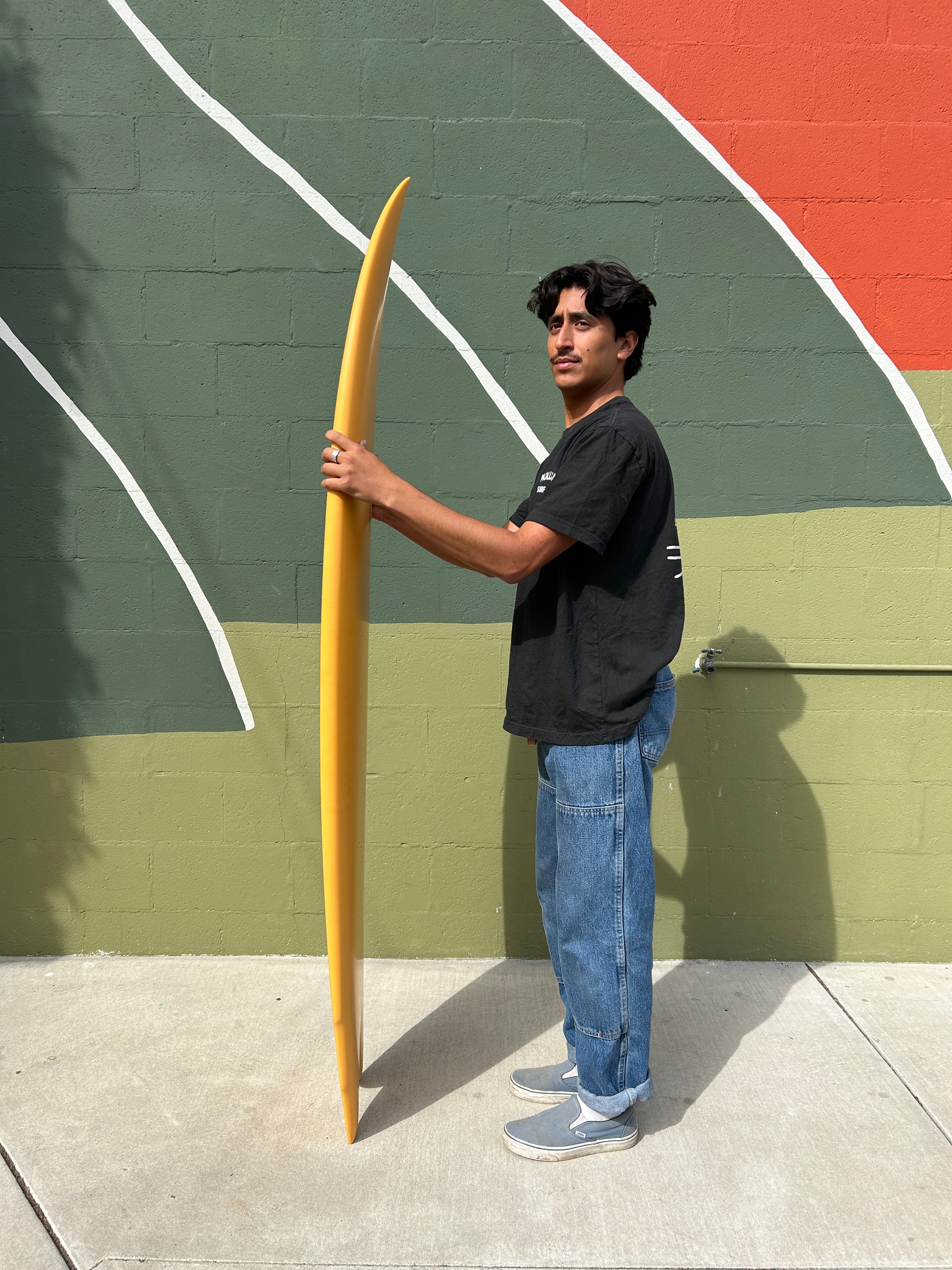6'4 Hanel Quad Fish - Mollusk Surf Shop