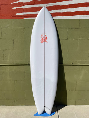 6'4 Rainbow Quad (USED) - Mollusk Surf Shop
