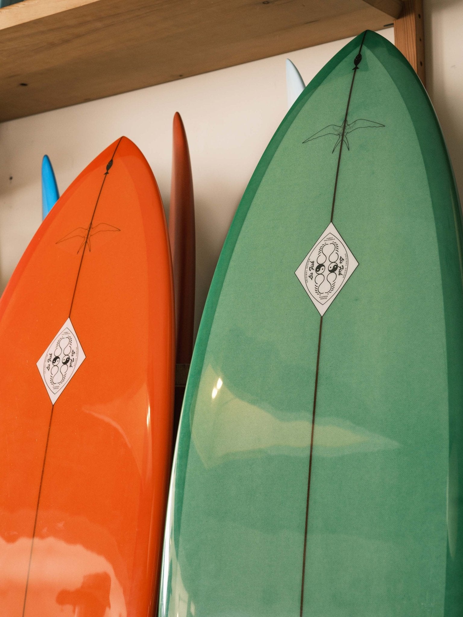 6'4 Steve Lis Fish - Mollusk Surf Shop