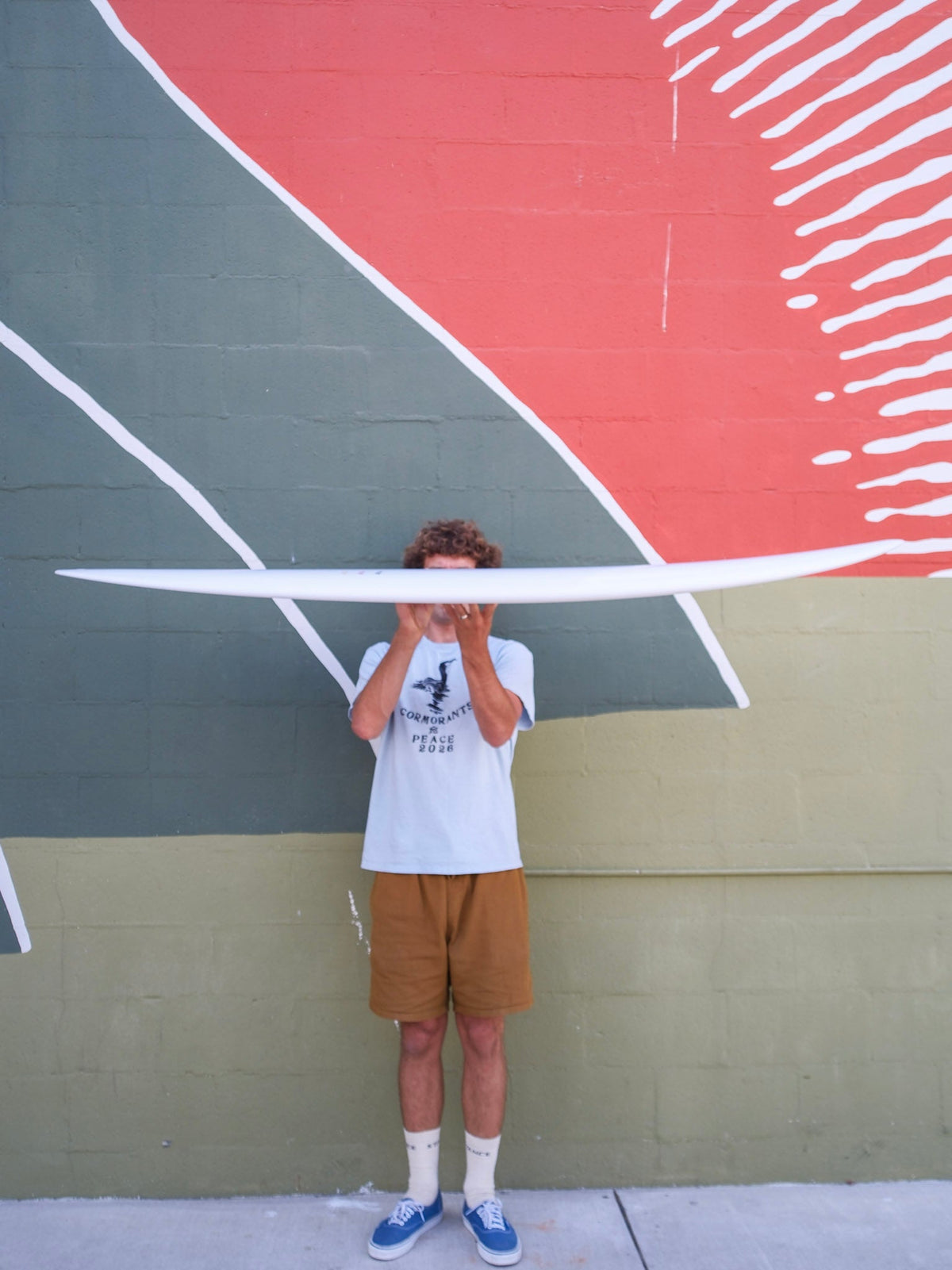 6'4 Tyler Warren Seed - Mollusk Surf Shop