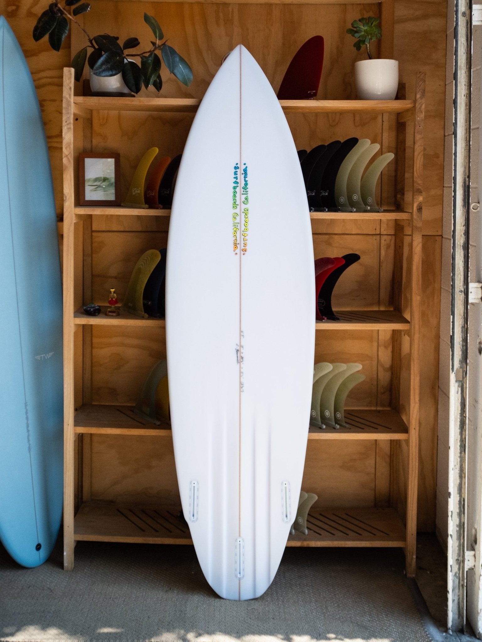 6'5 Christian Beamish Four - Channel Thruster - Mollusk Surf Shop