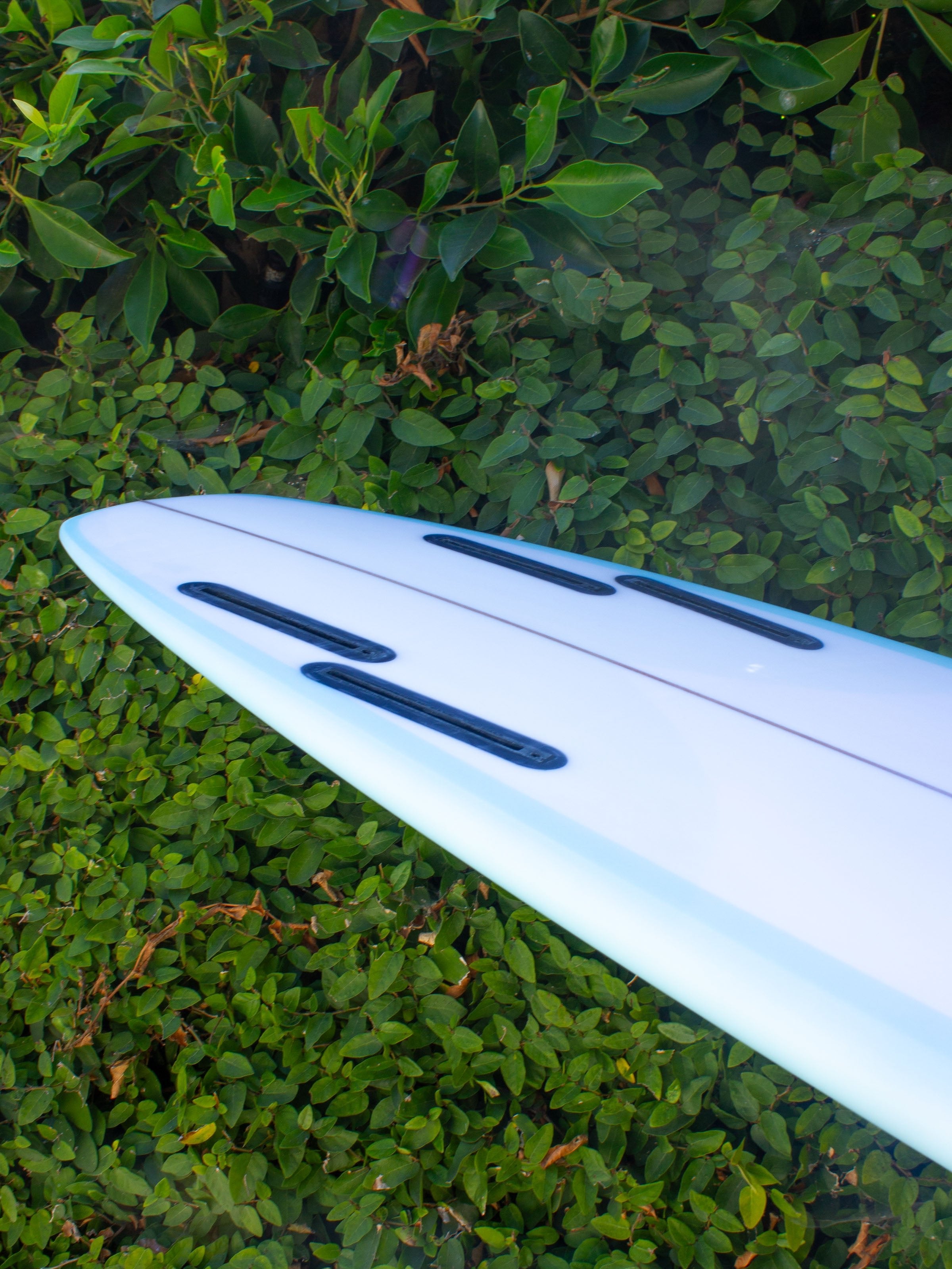 6'5 Elmore Pusher 4 - Mollusk Surf Shop - description