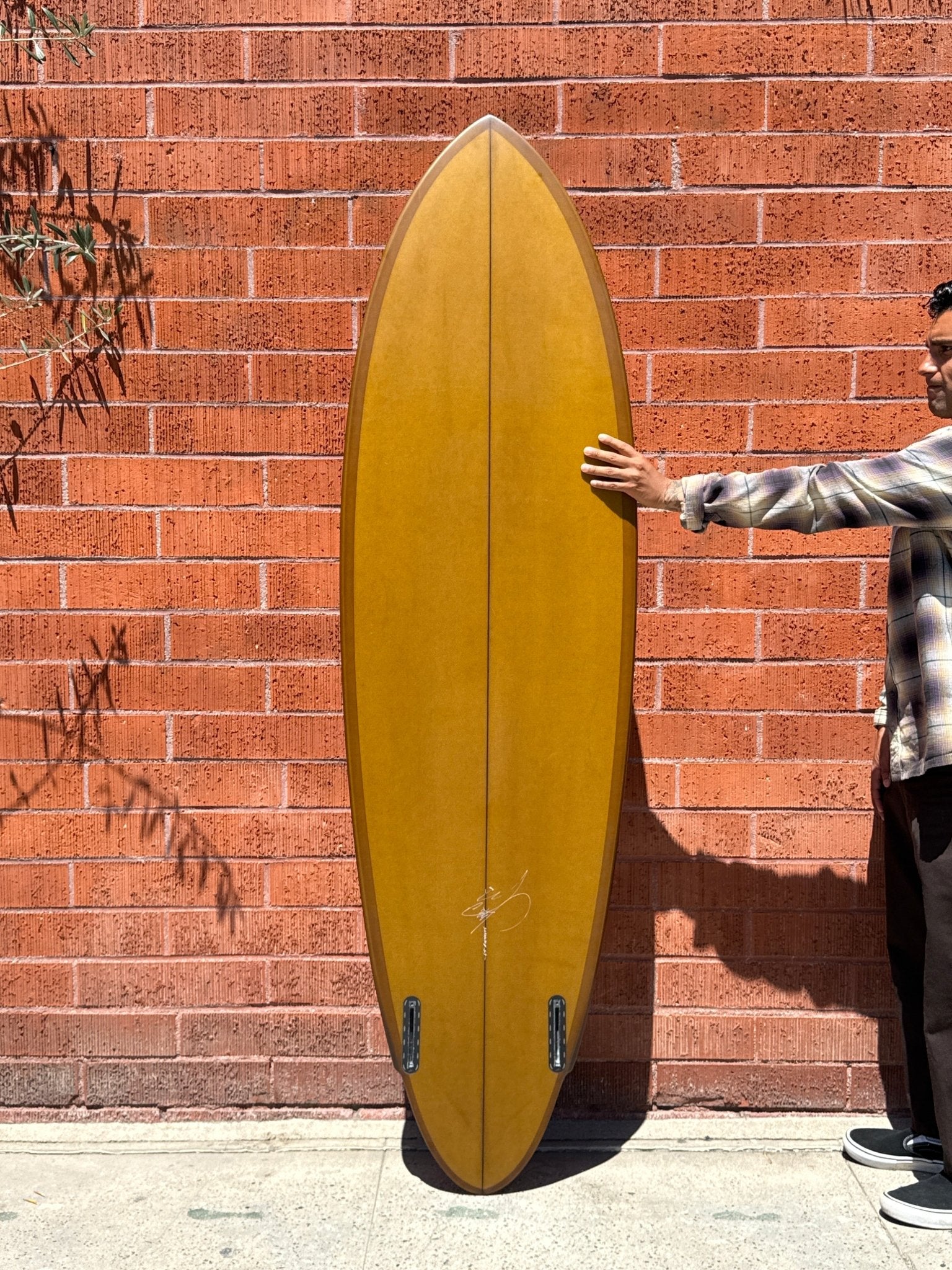 6'5 Jeff Mccallum PDX Winged Tail - Mollusk Surf Shop