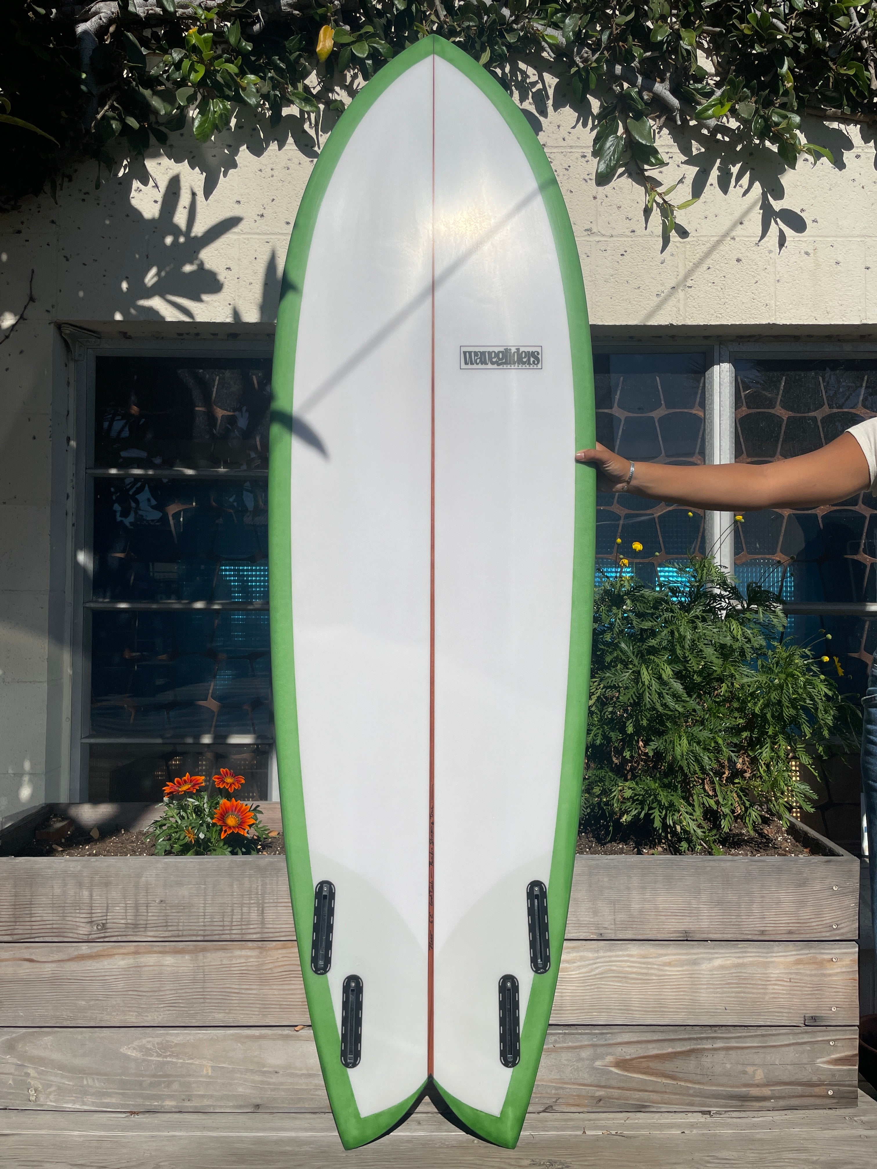 6'5 Wavegliders Cod Fish - Mollusk Surf Shop