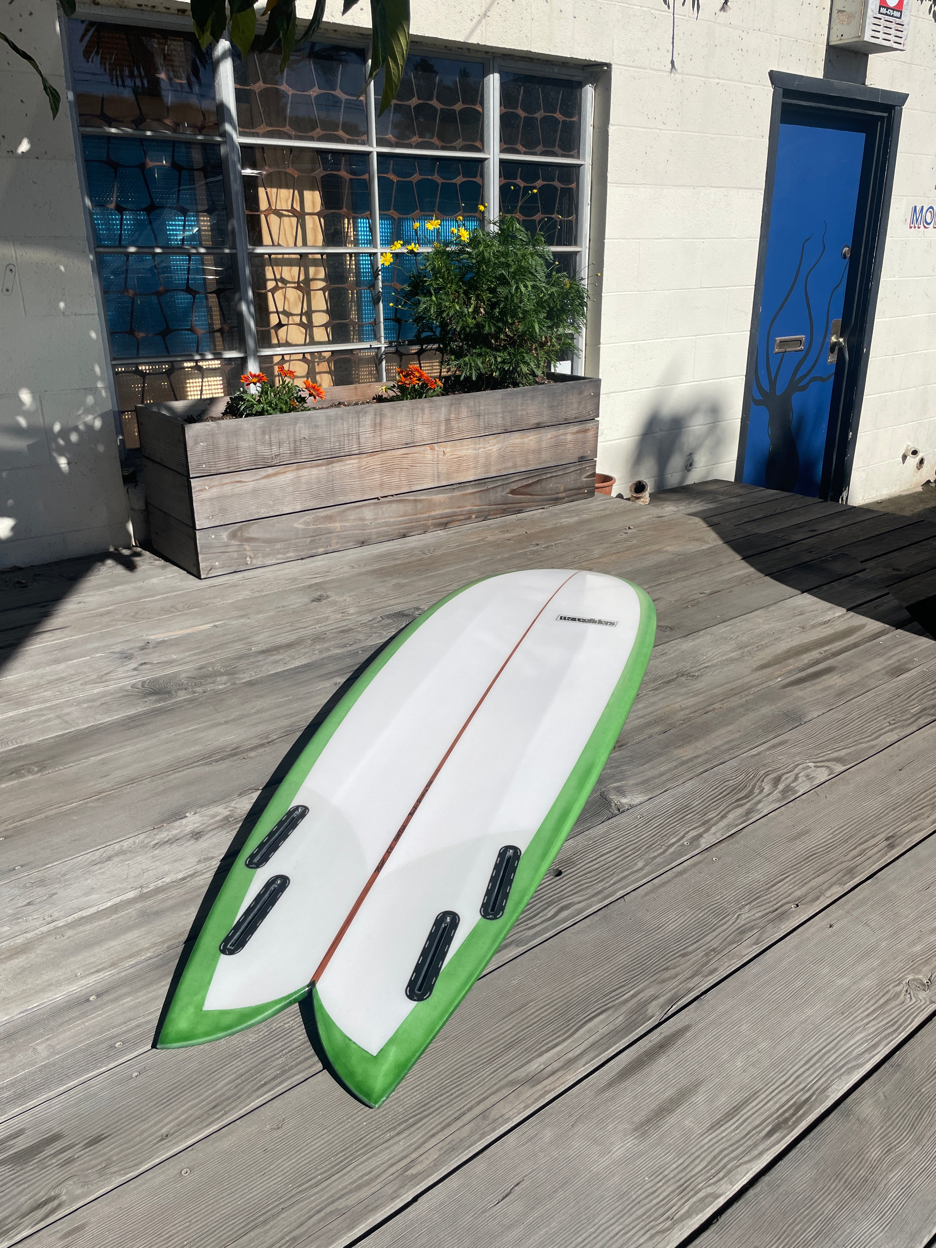 6'5 Wavegliders Cod Fish - Mollusk Surf Shop