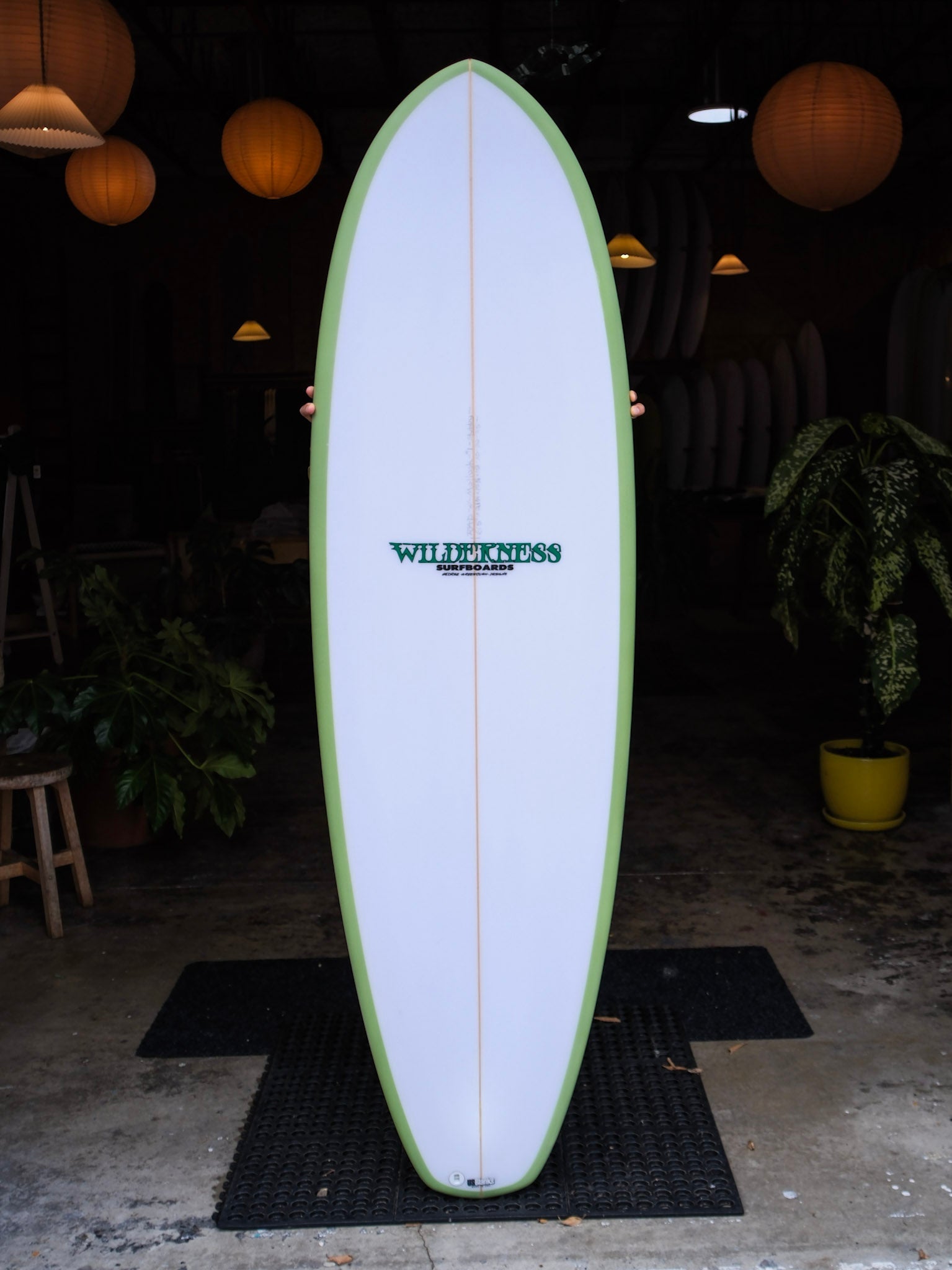 6'5 Wilderness Stubby - Mollusk Surf Shop