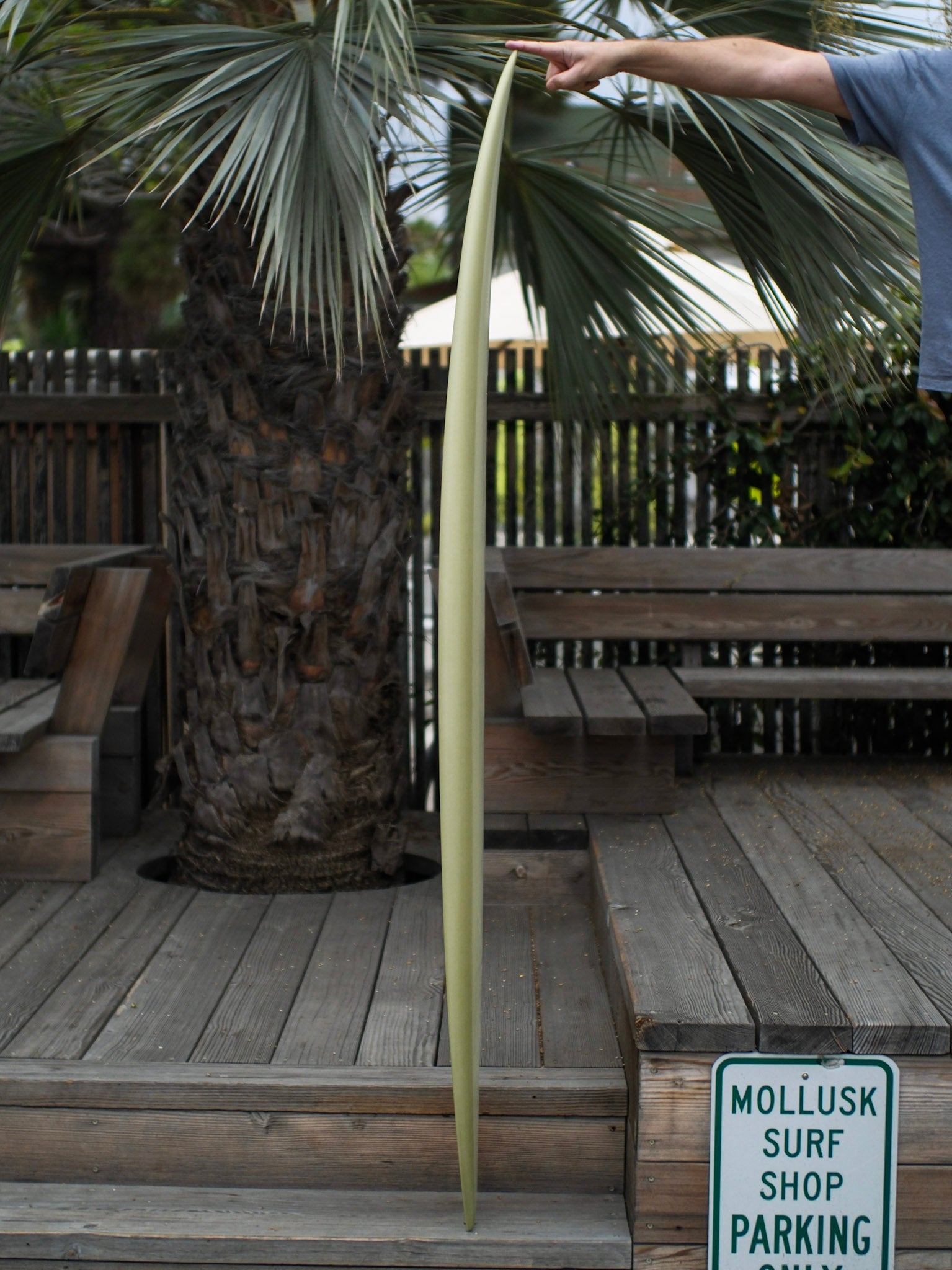 6'5 Yee Shapes Turbo Wolf - Mollusk Surf Shop