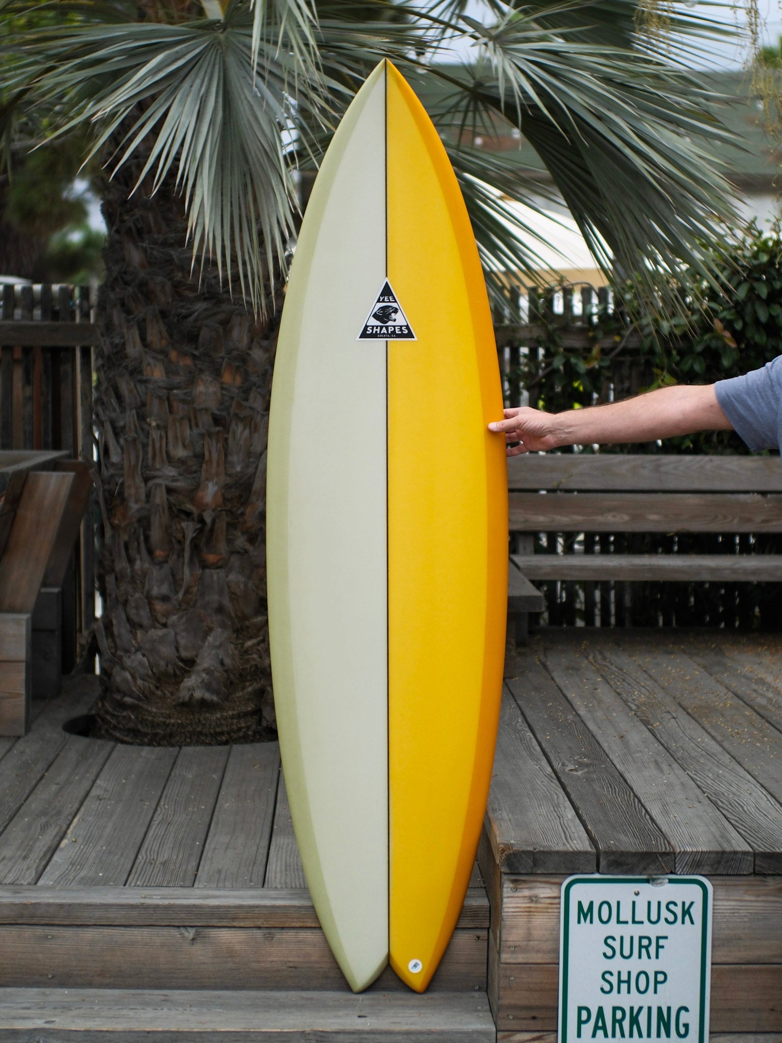 6'5 Yee Shapes Turbo Wolf - Mollusk Surf Shop