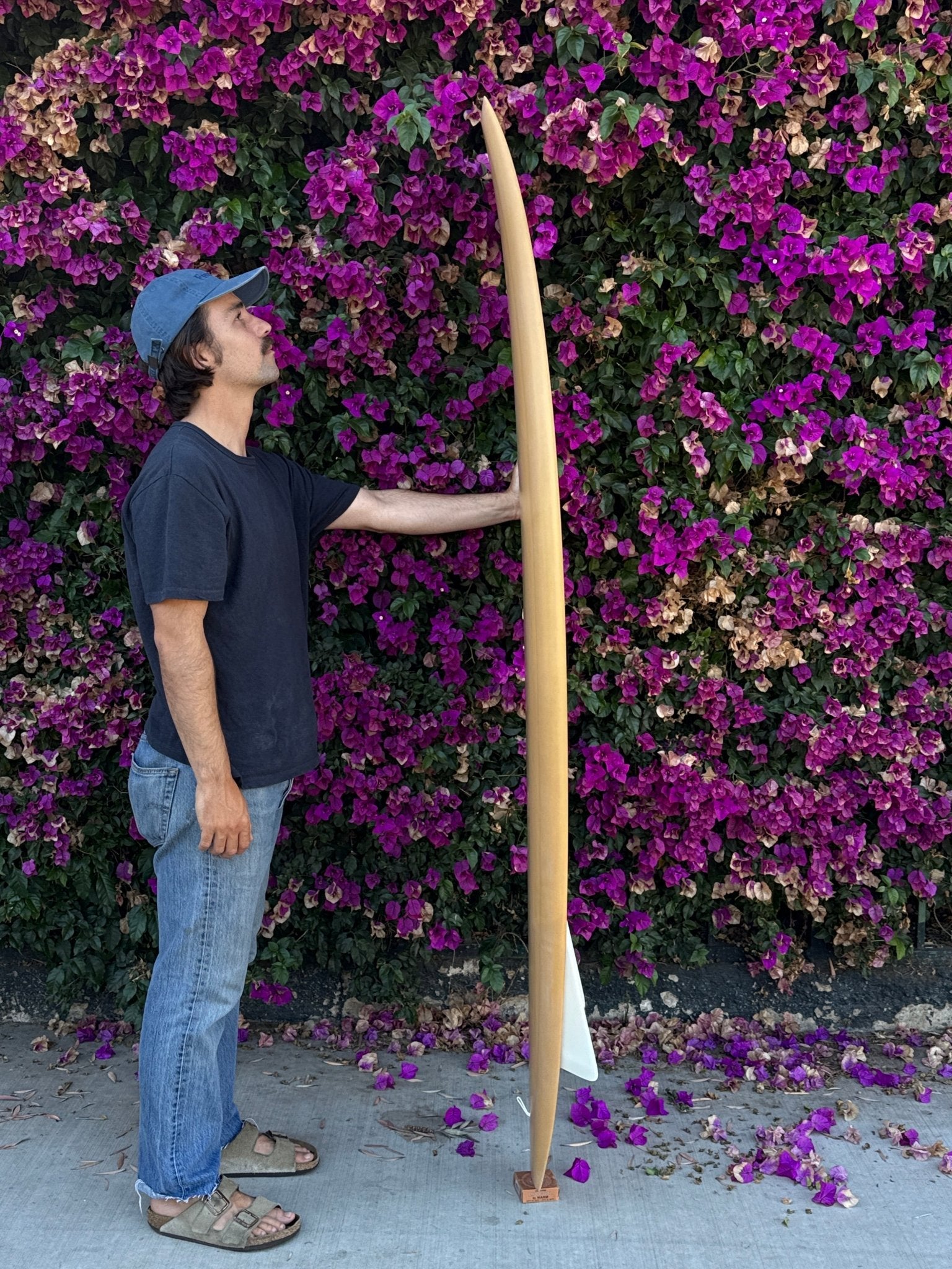 6'6 Campbell Bros Russ Short - Mollusk Surf Shop