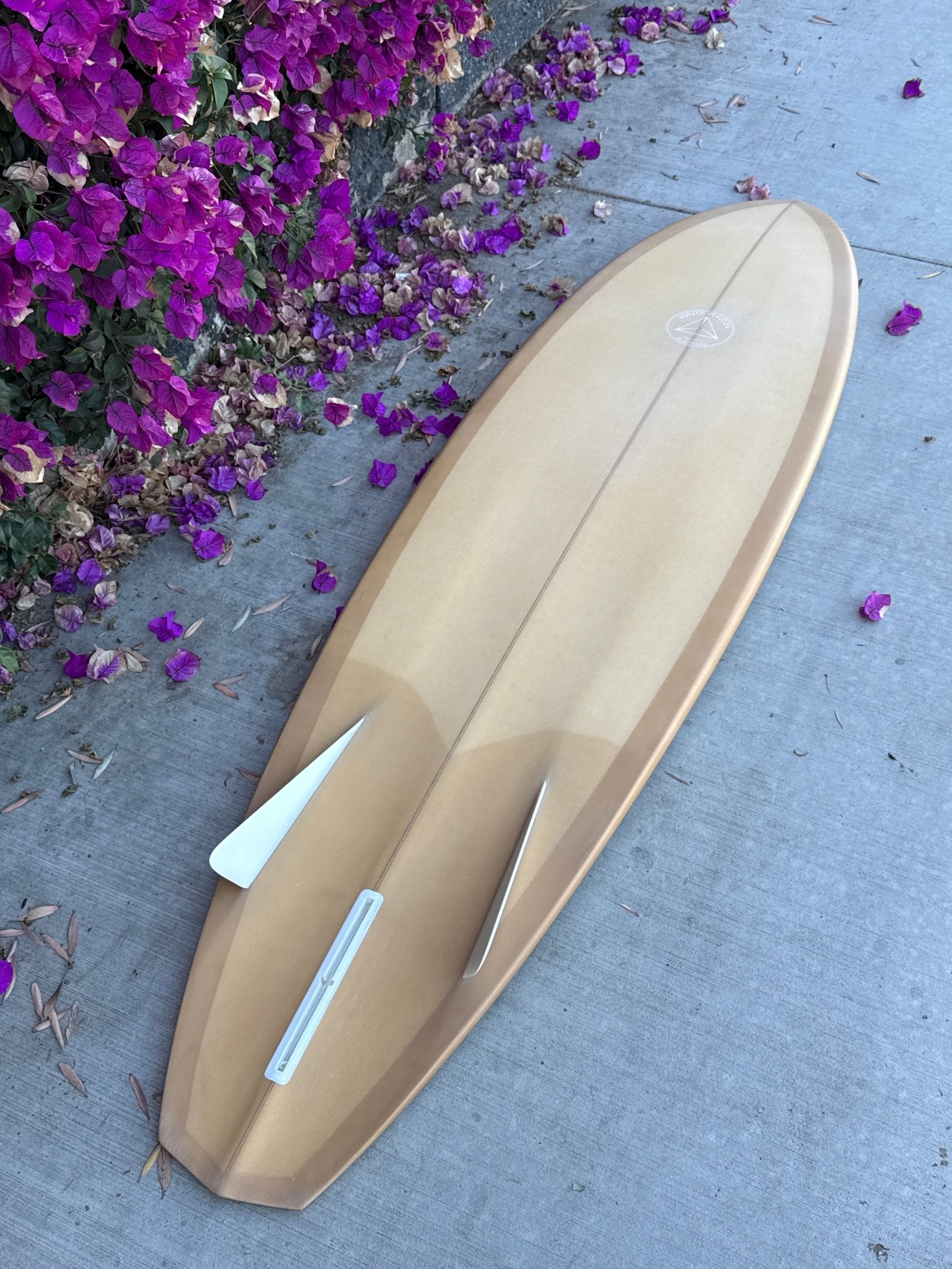 6'6 Campbell Bros Russ Short - Mollusk Surf Shop
