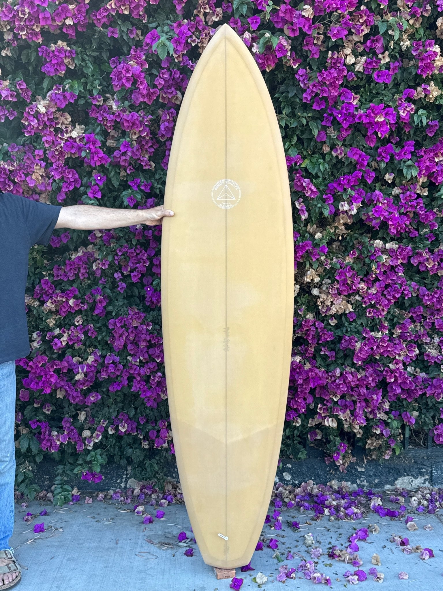6'6 Campbell Bros Russ Short - Mollusk Surf Shop