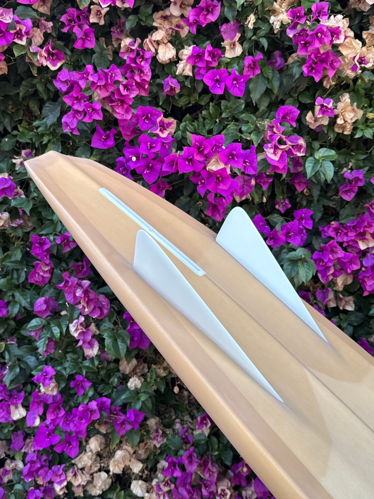 6'6 Campbell Bros Russ Short - Mollusk Surf Shop - description