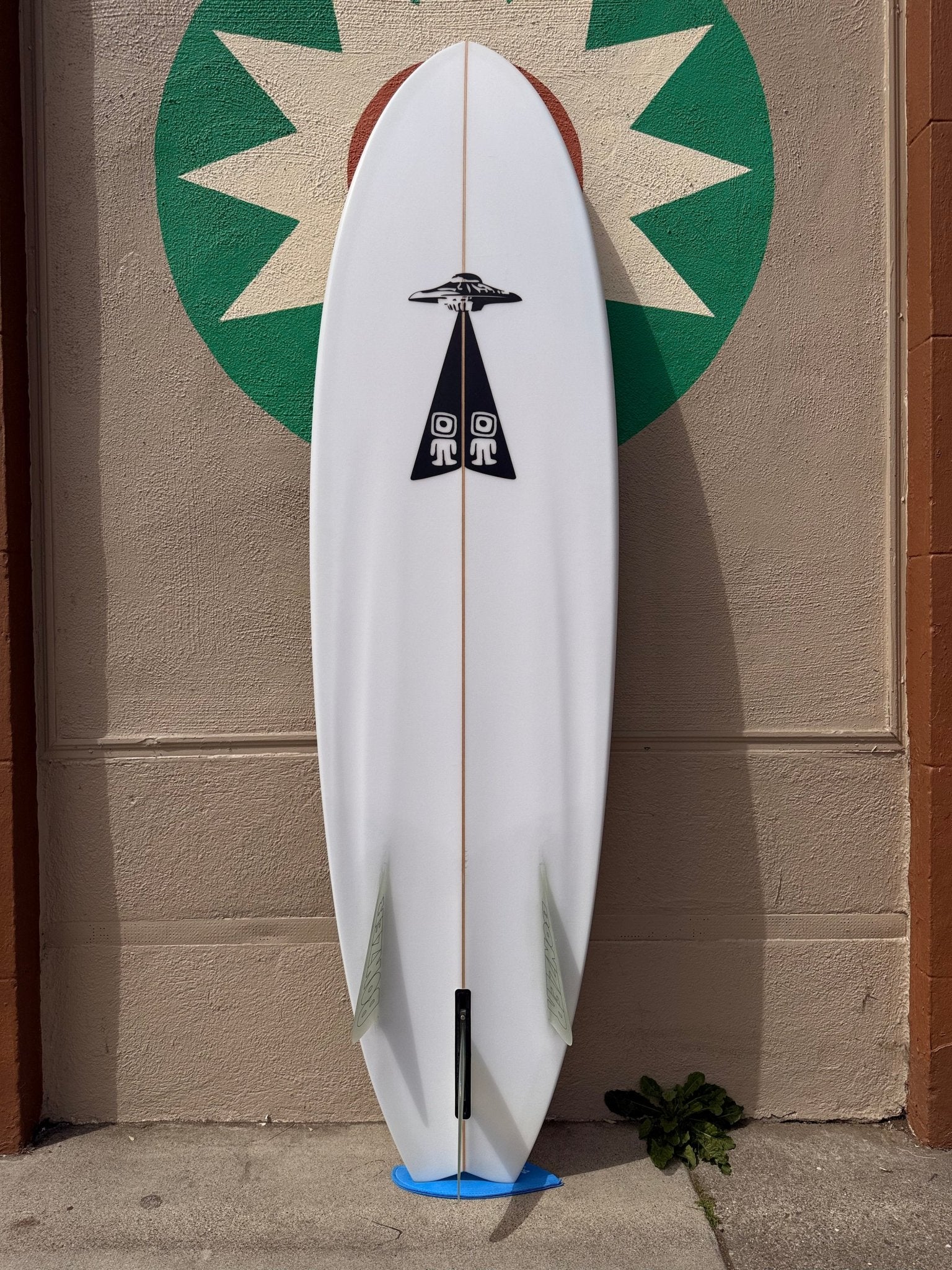 6'6 Campbell Brothers Egg Light - Mollusk Surf Shop