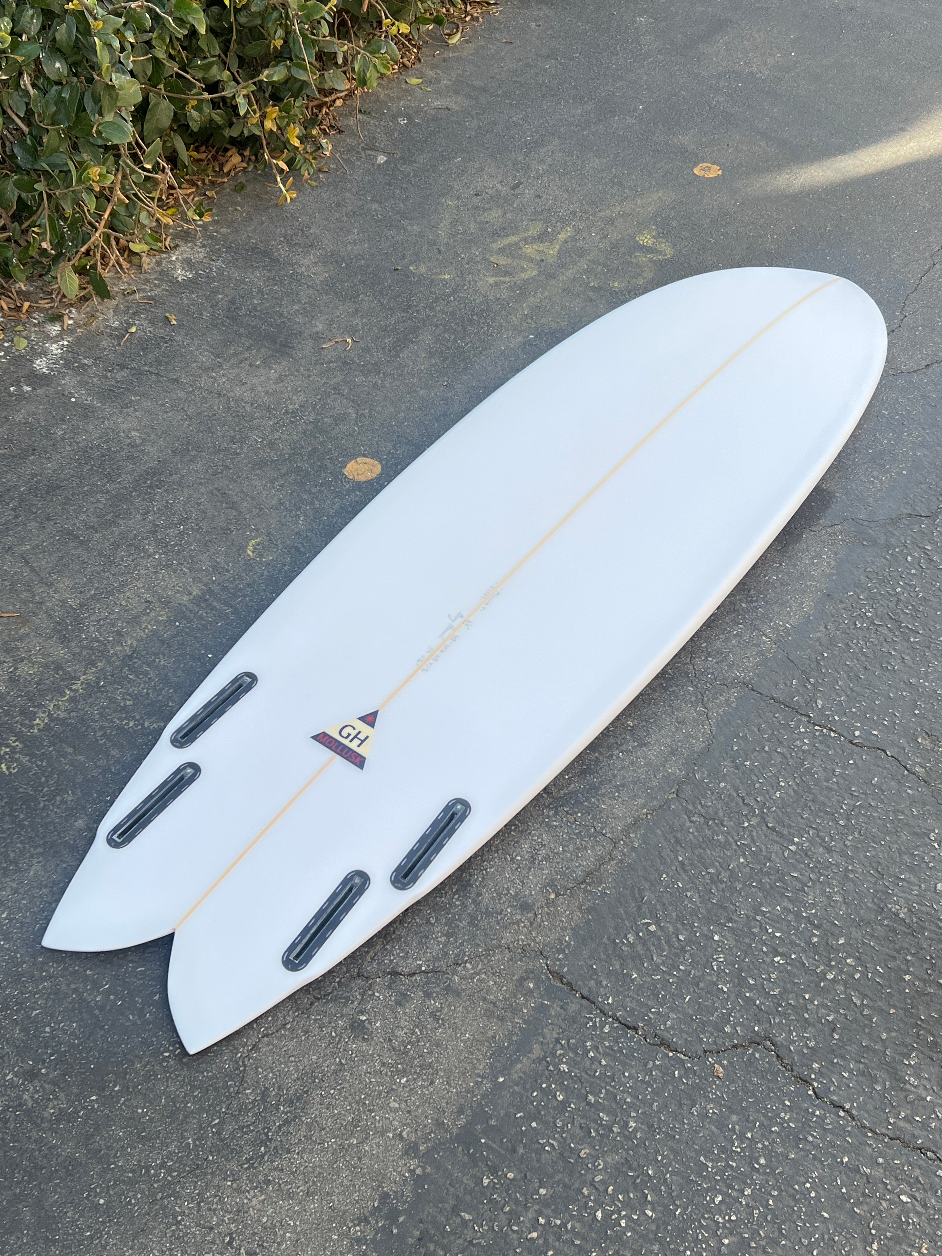 6'6 Gary Hanel Q Fish - Mollusk Surf Shop