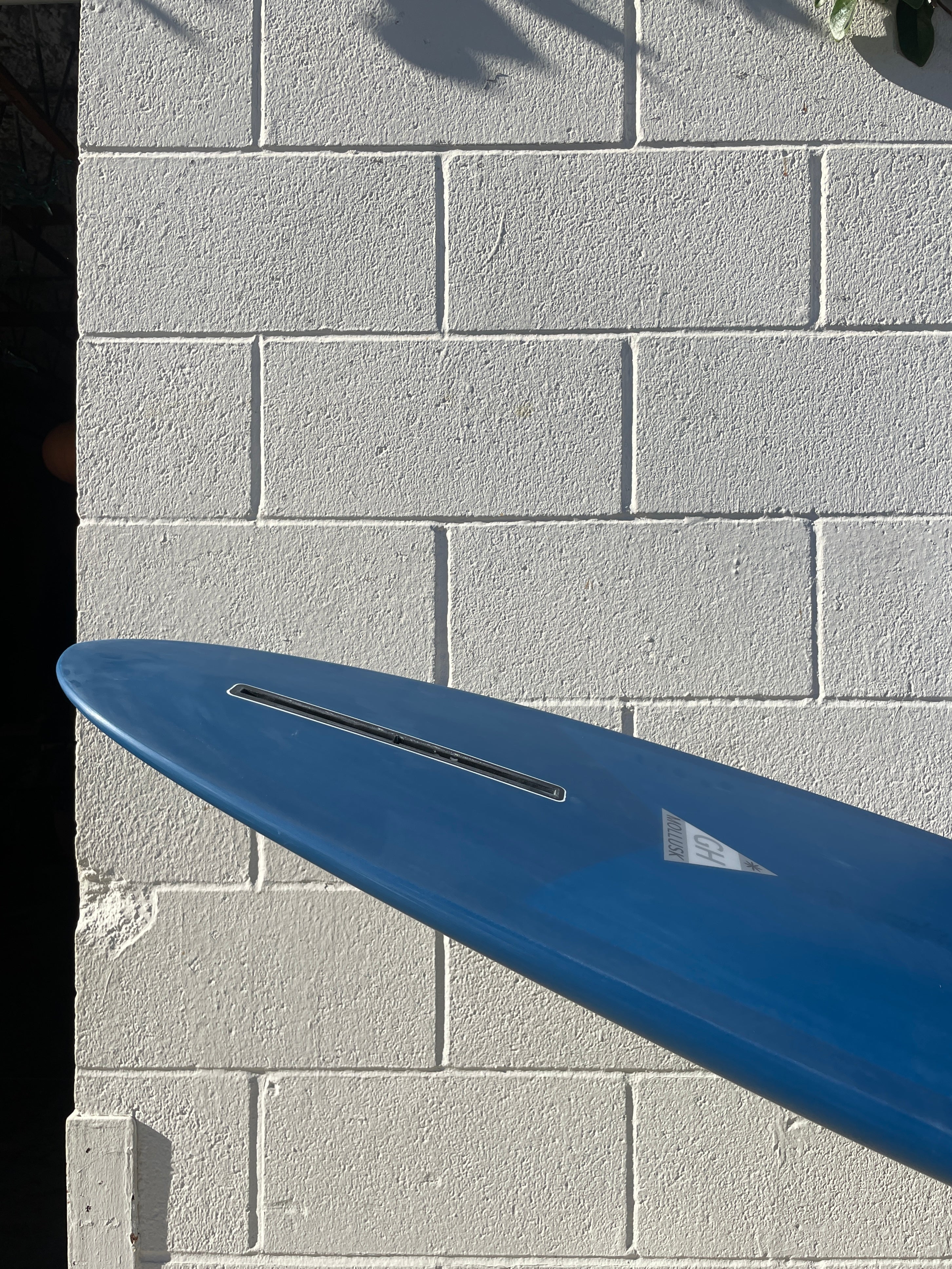 6'6 Hanel Egg - Mollusk Surf Shop - description