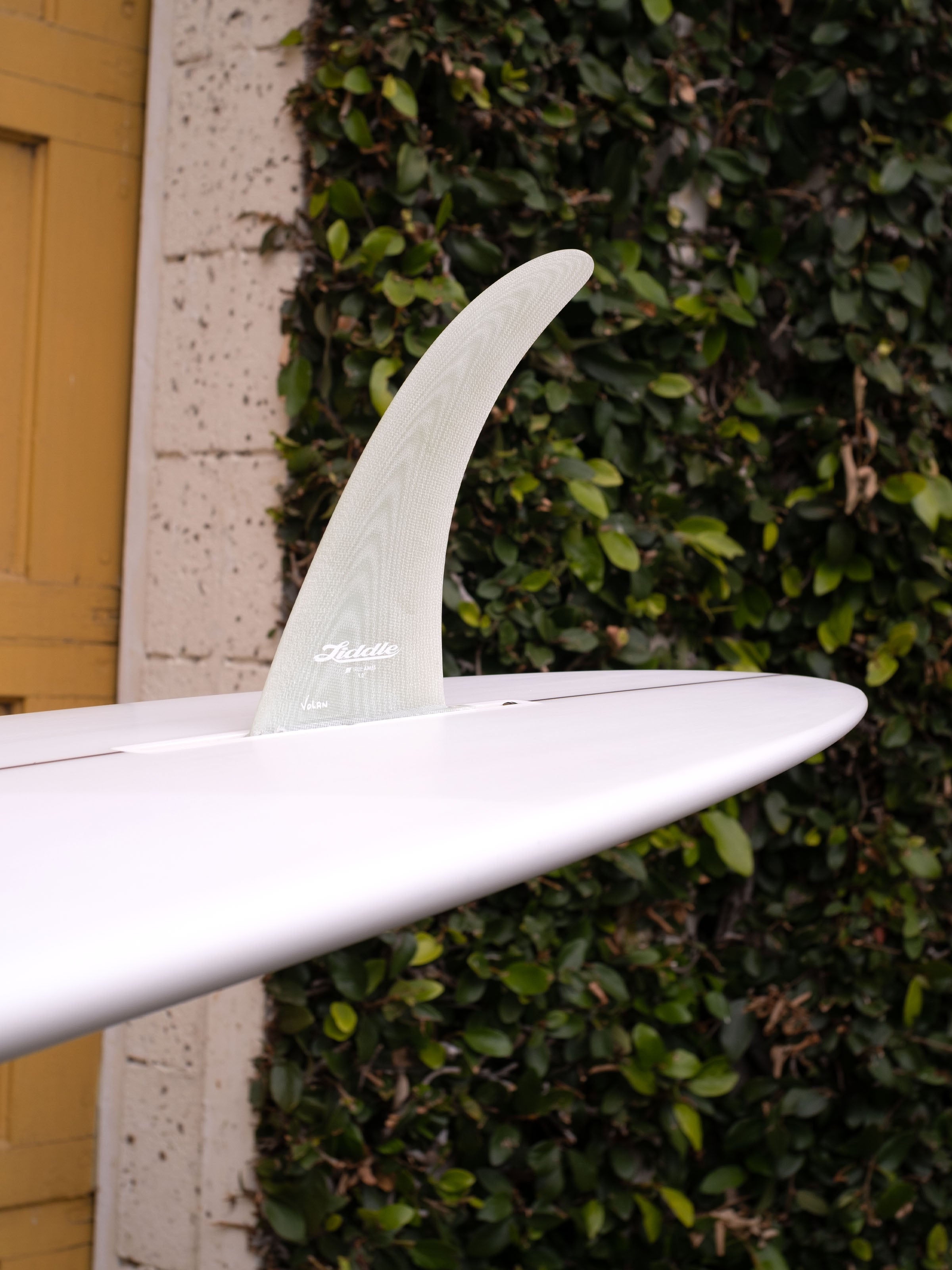 6'6 Liddle Bastard - Mollusk Surf Shop - description