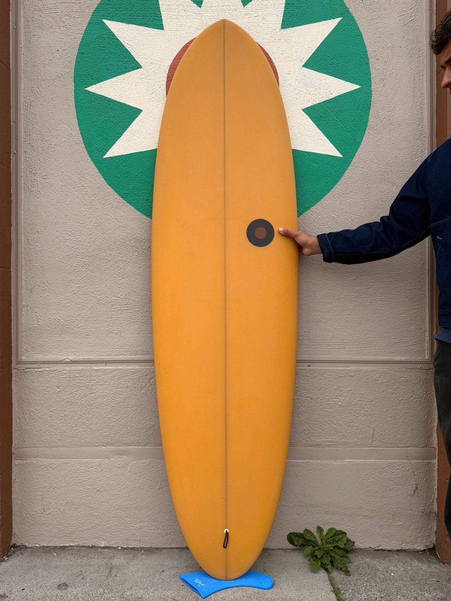 6'6 MPE Spitfire - Mollusk Surf Shop