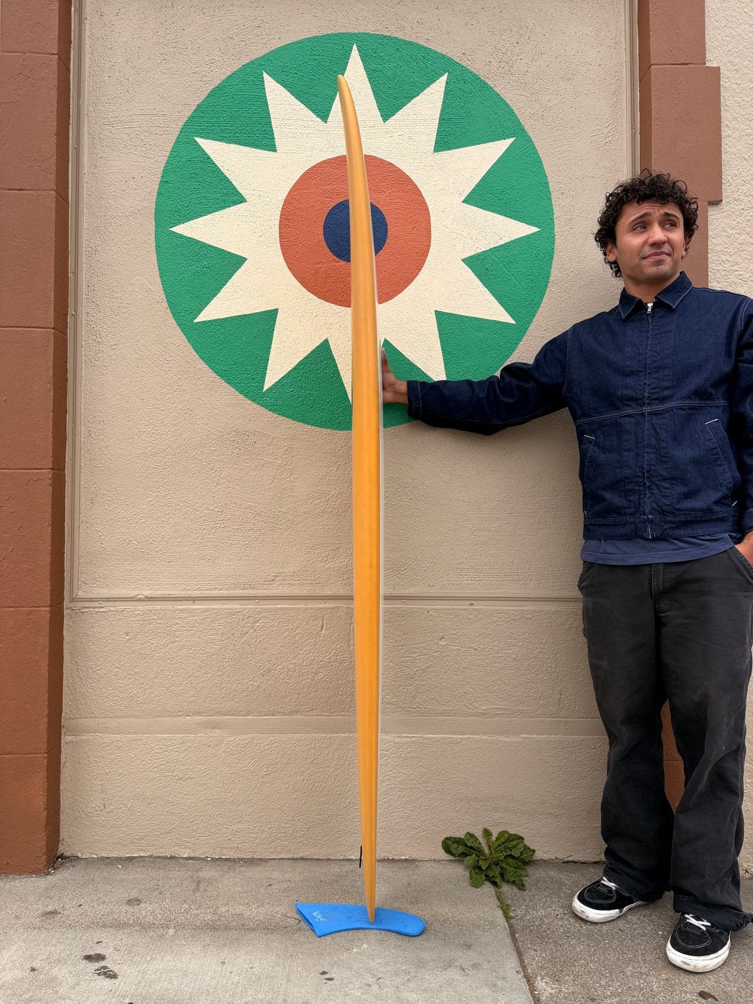 6'6 MPE Spitfire - Mollusk Surf Shop