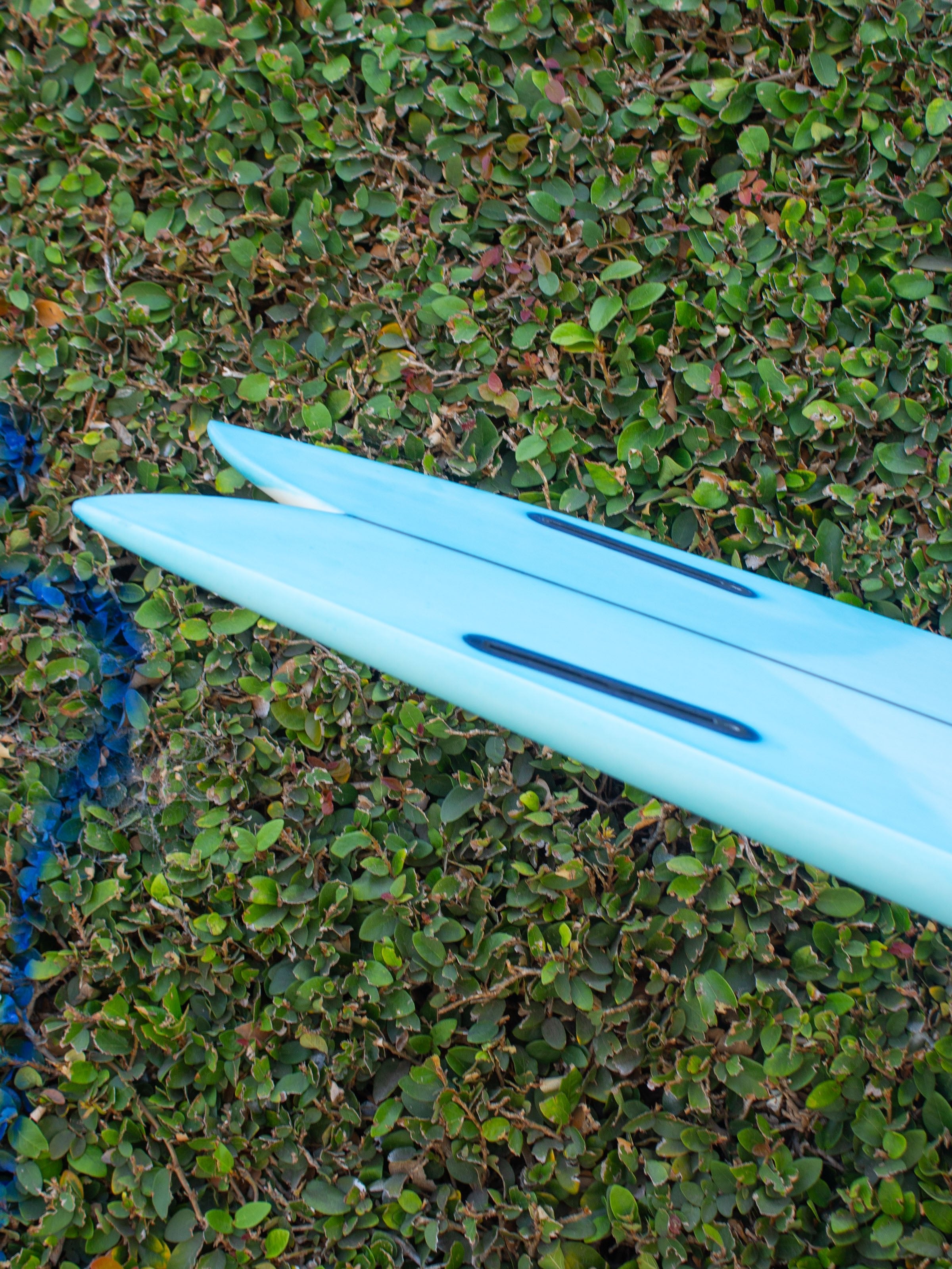6'6 Radio Mid Fish - Mollusk Surf Shop - description