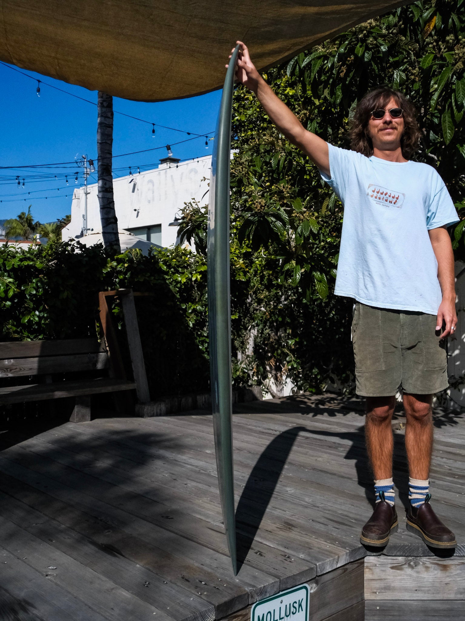 6'6 Radio Mid Fish - Mollusk Surf Shop