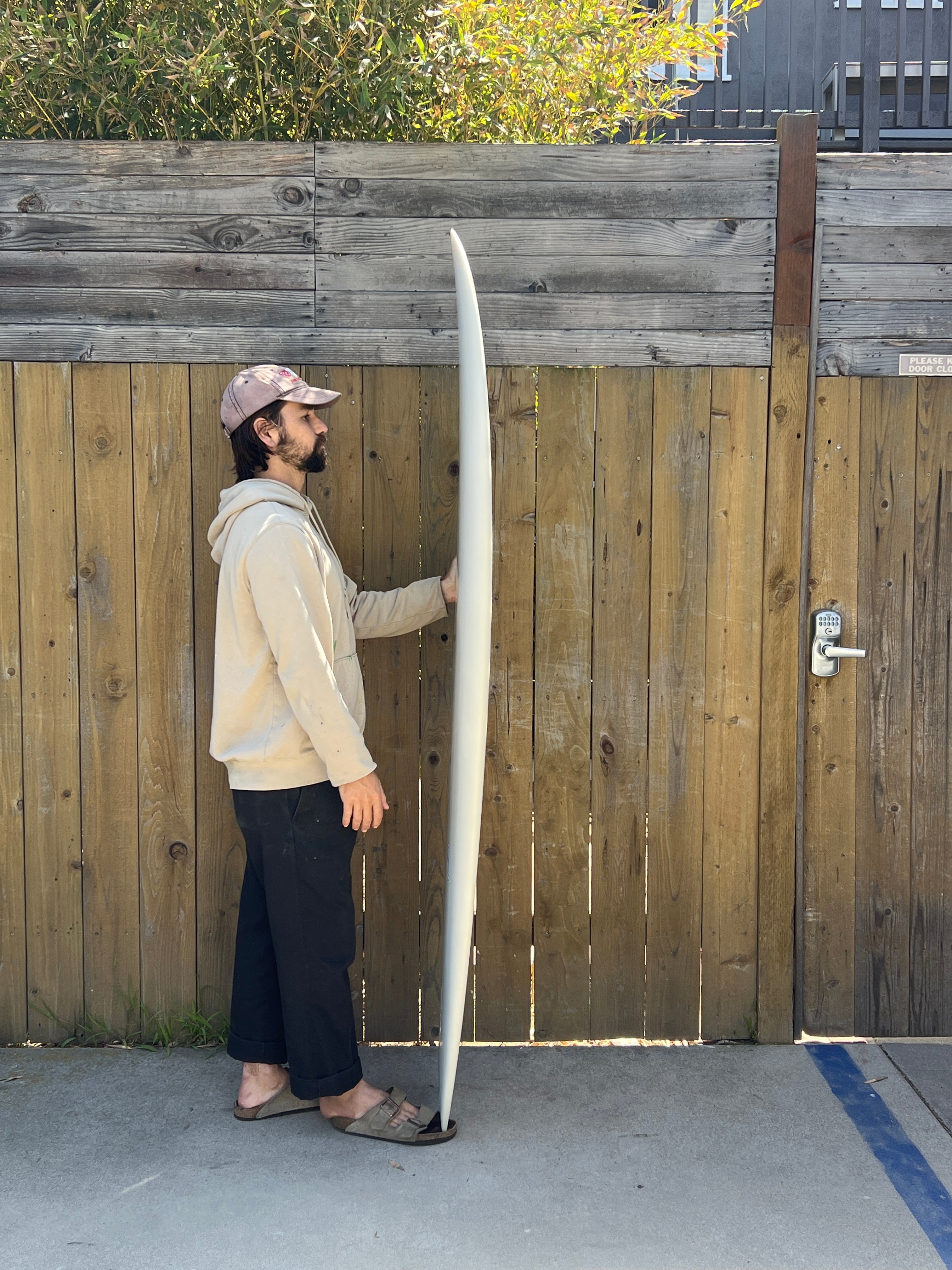 6'6 Radio Mid Fish - Mollusk Surf Shop