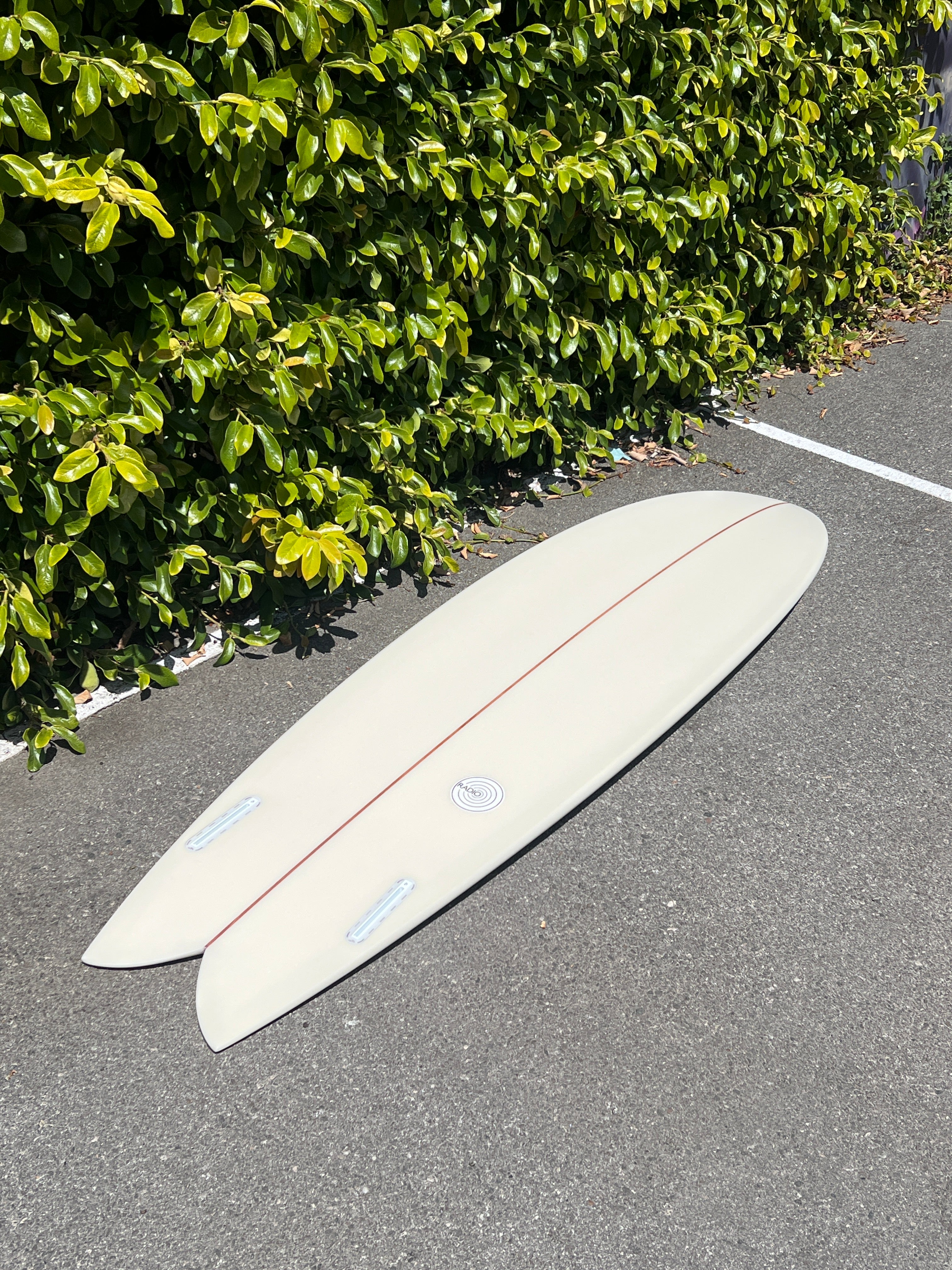 6'6 Radio Mid Fish - Mollusk Surf Shop