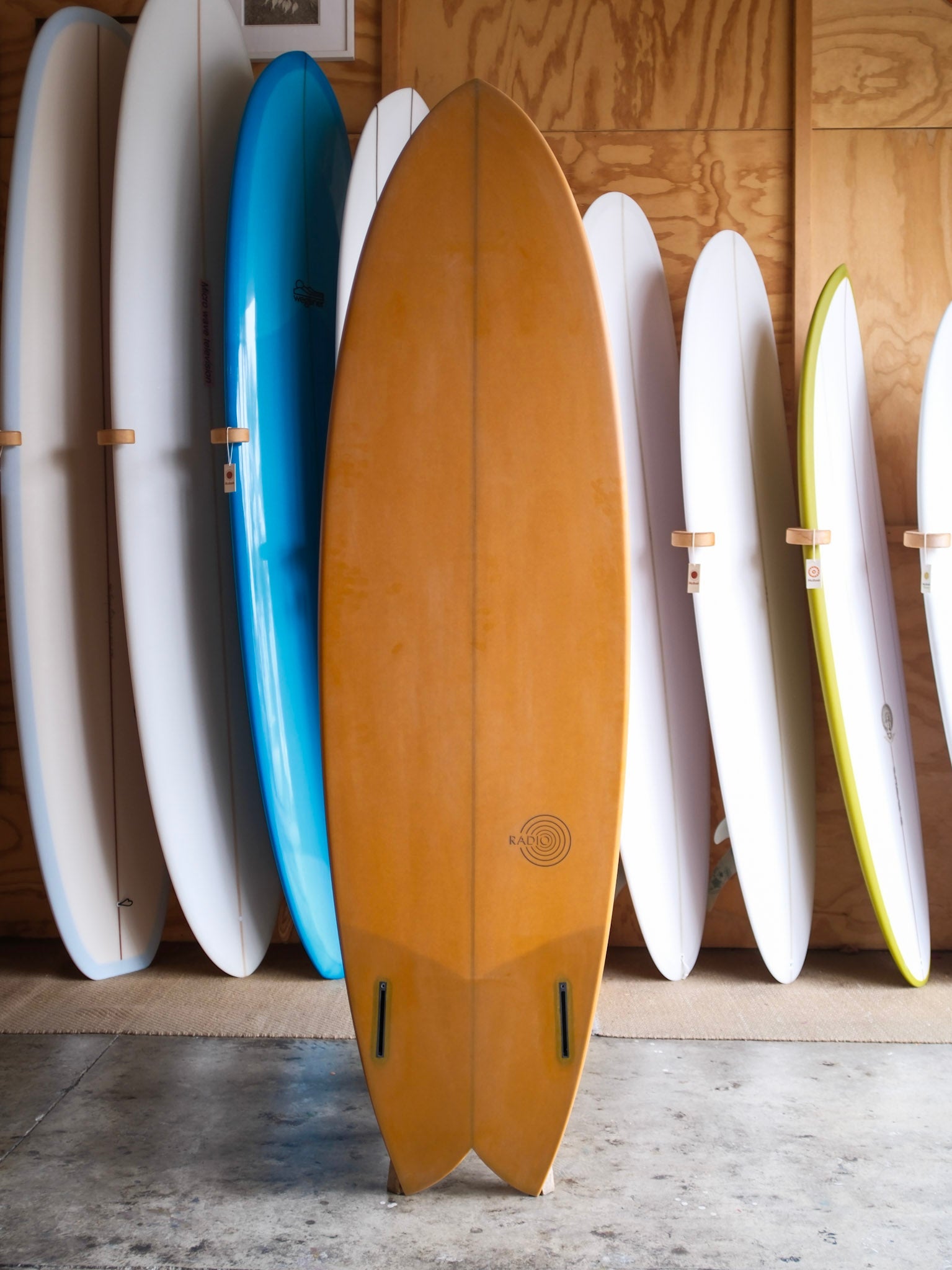 6'6 Radio Spicy Fish - Mollusk Surf Shop