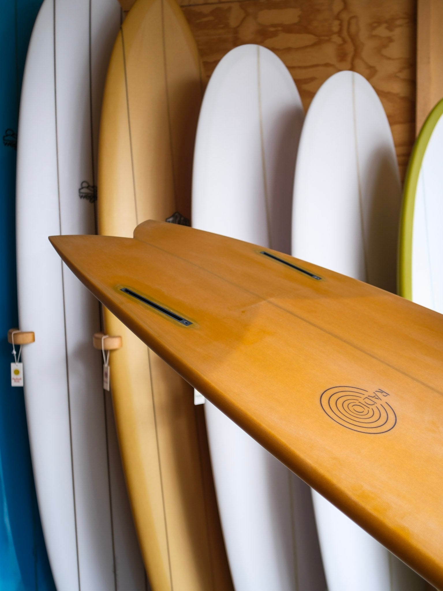 6'6 Radio Spicy Fish - Mollusk Surf Shop - description