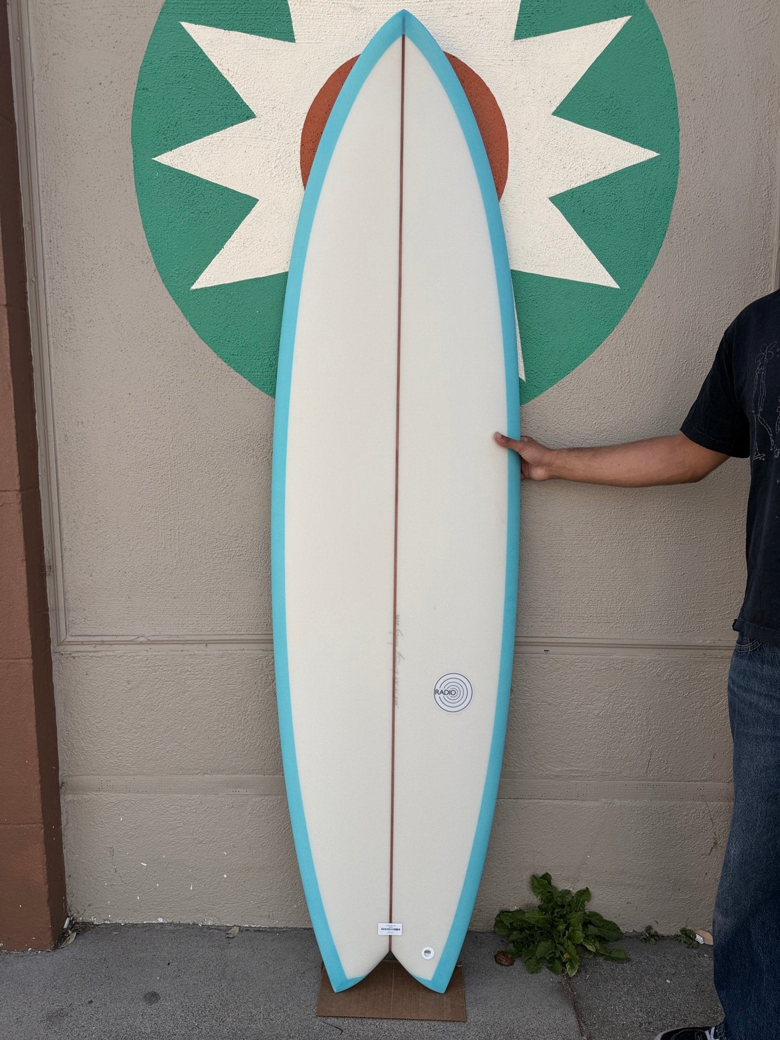 6'6 Radio Spicy Fish - Mollusk Surf Shop