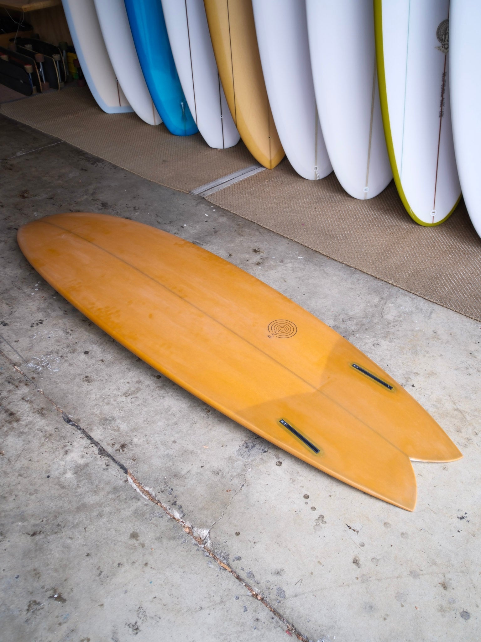 6'6 Radio Spicy Fish - Mollusk Surf Shop