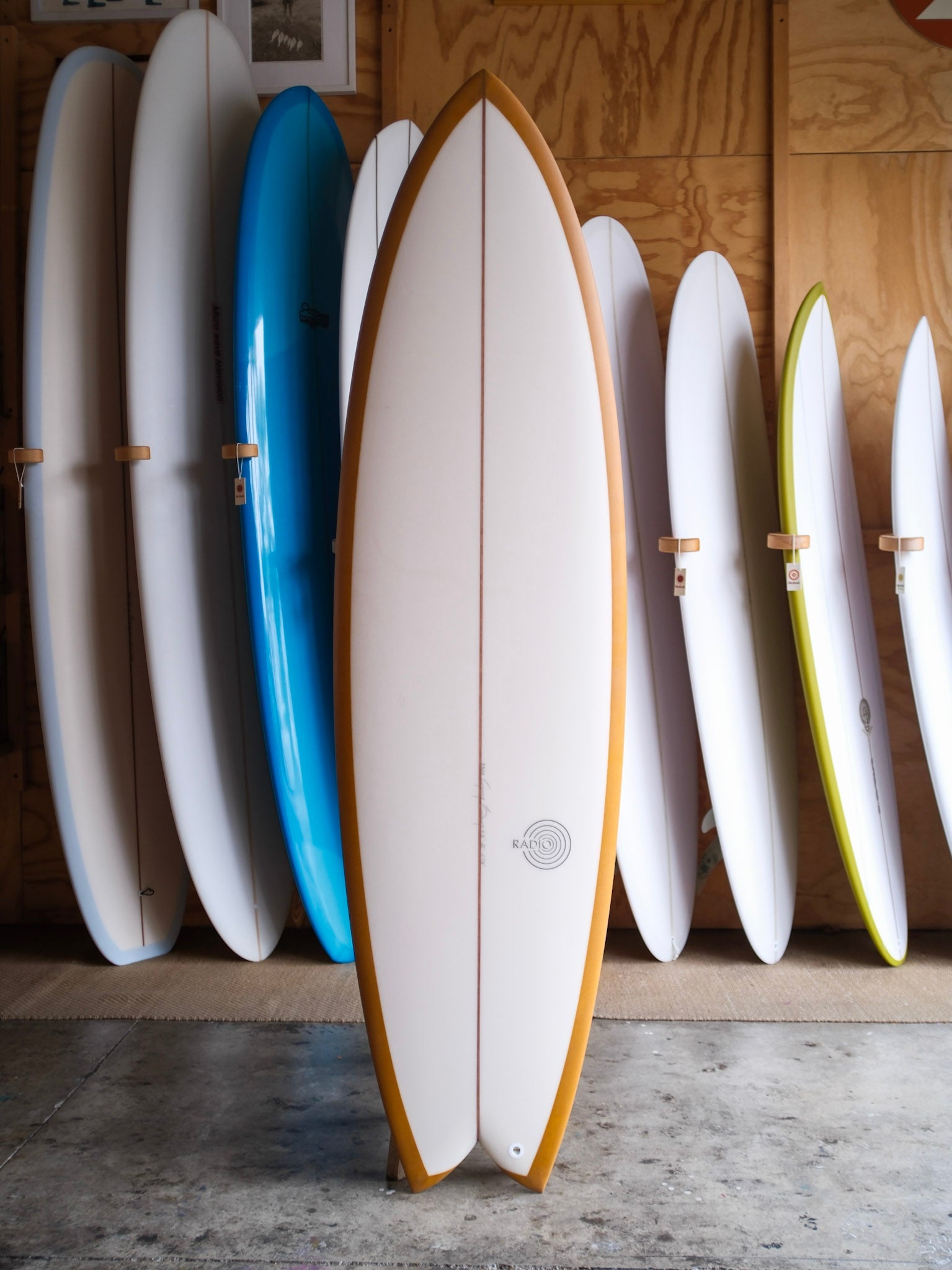 6'6 Radio Spicy Fish - Mollusk Surf Shop