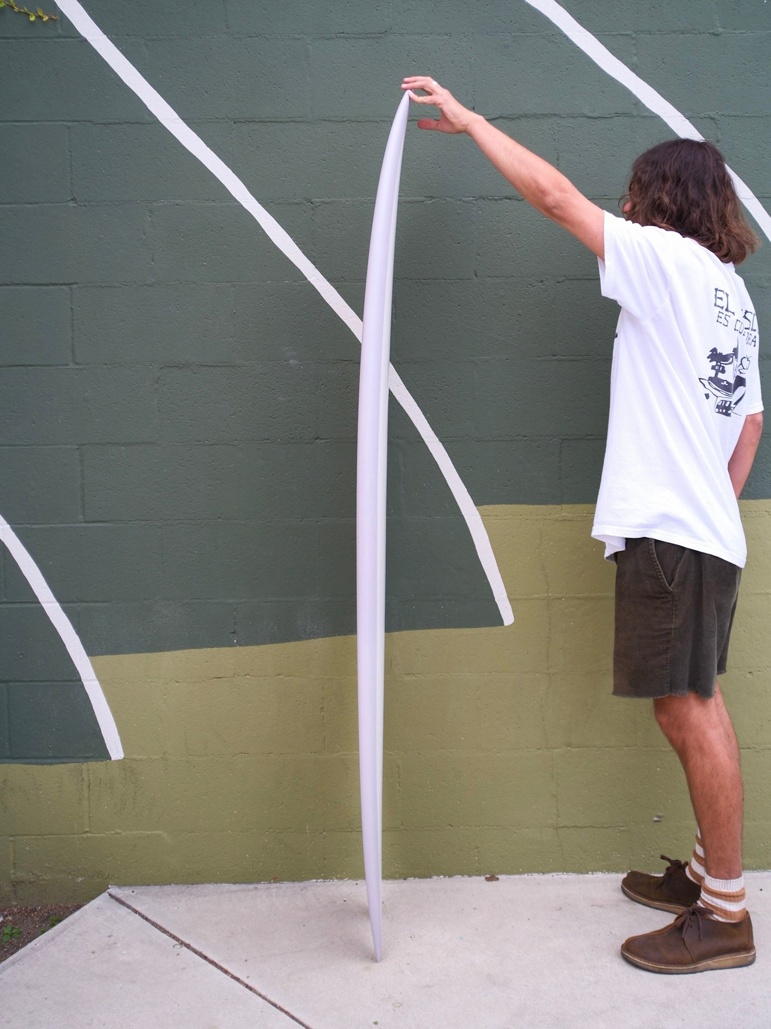 6'6 Radio Spicy Fish - Mollusk Surf Shop