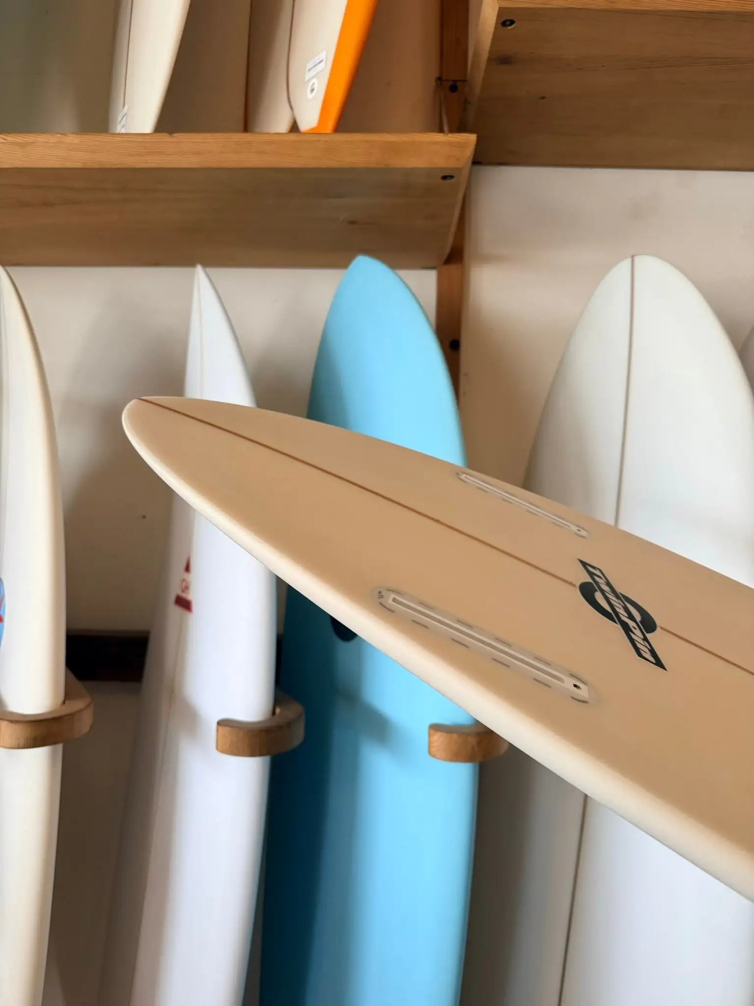 6'6 Radio Twin Pin - Mollusk Surf Shop - description