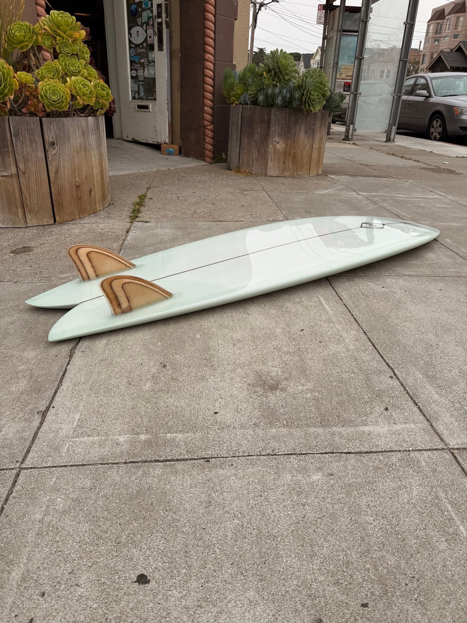 6'6 Steve Lis Fish - Mollusk Surf Shop
