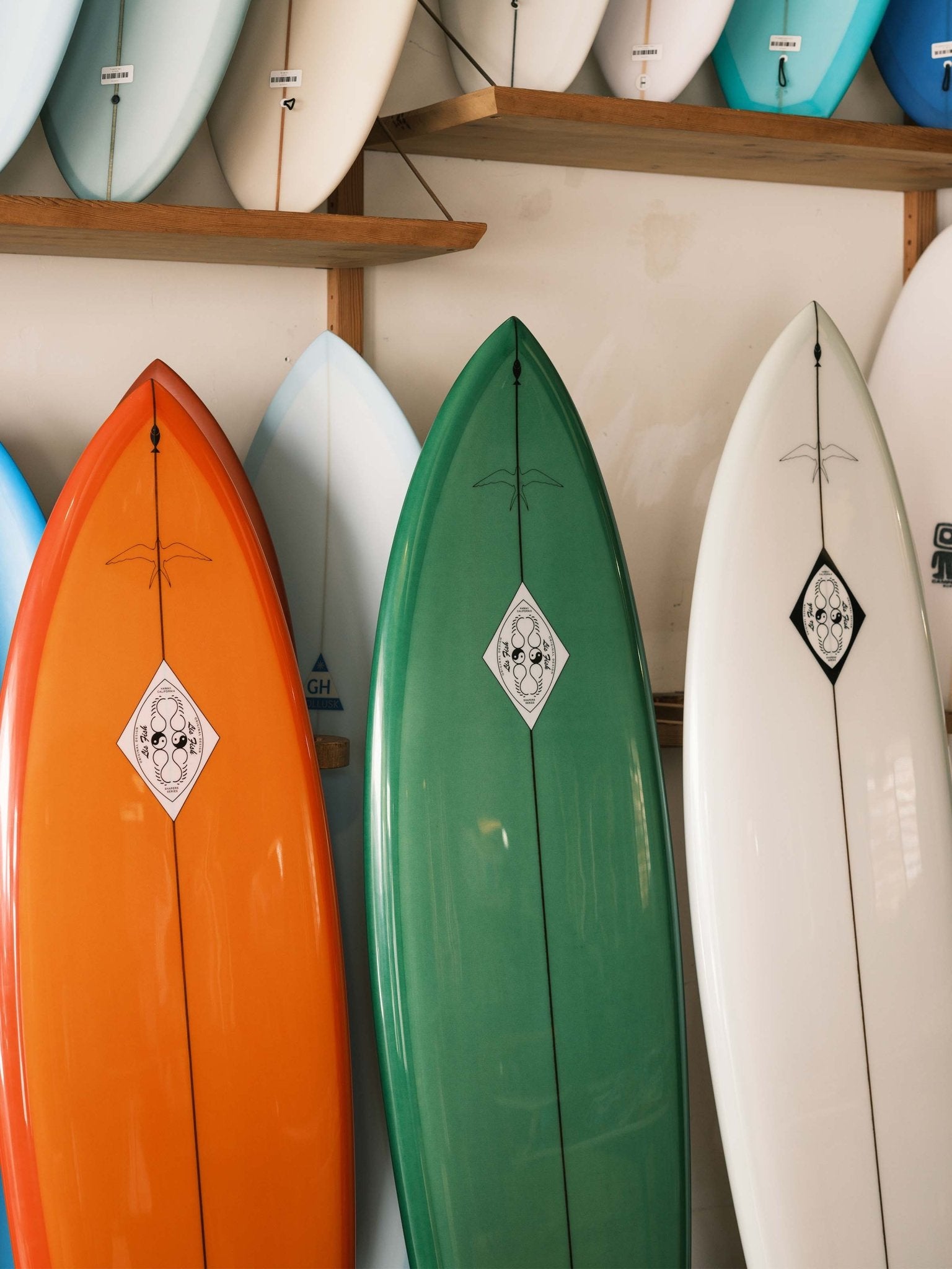 6'6 Steve Lis Fish - Mollusk Surf Shop