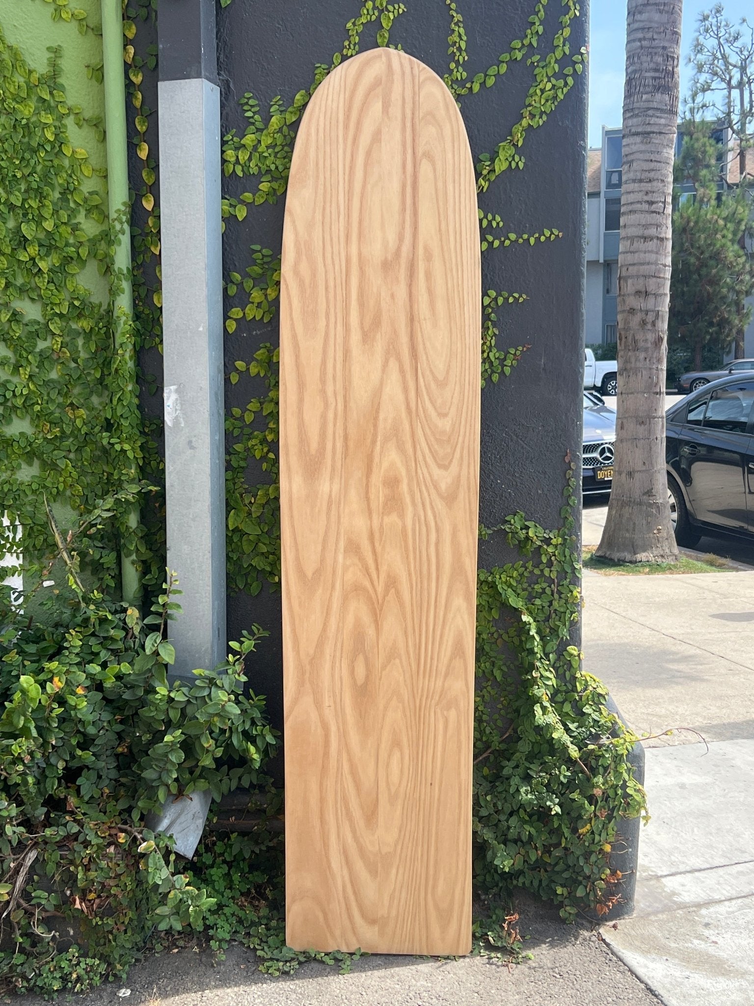 6'6 Wegener Alaia - Mollusk Surf Shop