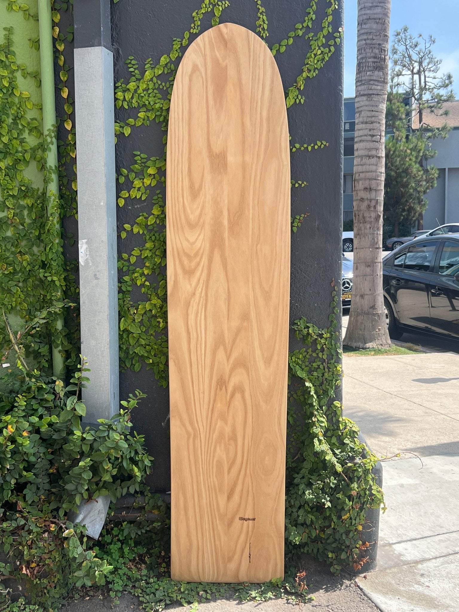 6'6 Wegener Alaia - Mollusk Surf Shop