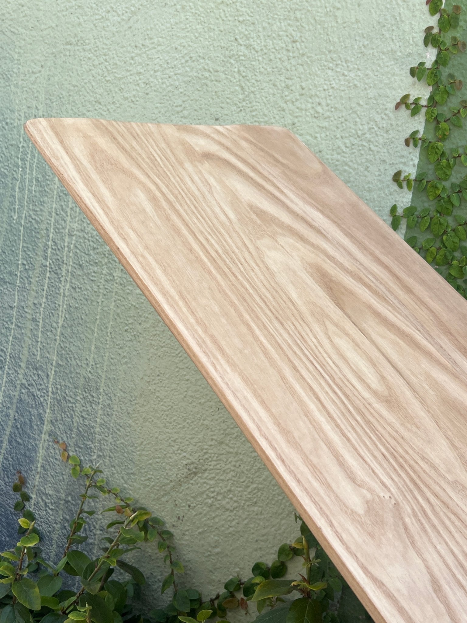 6'6 Wegener Alaia - Mollusk Surf Shop - description