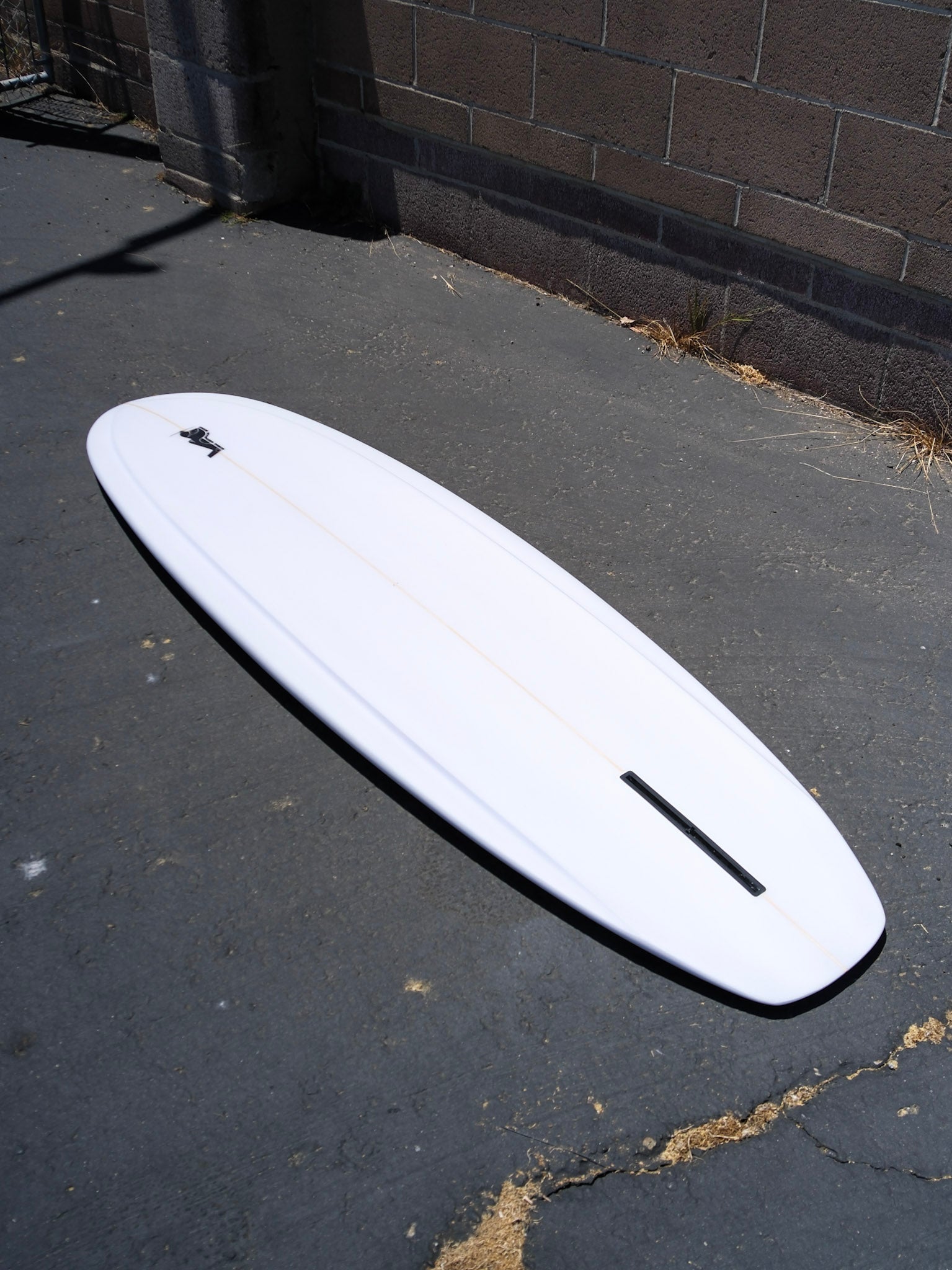 6'6 Wilderness Edge - Mollusk Surf Shop