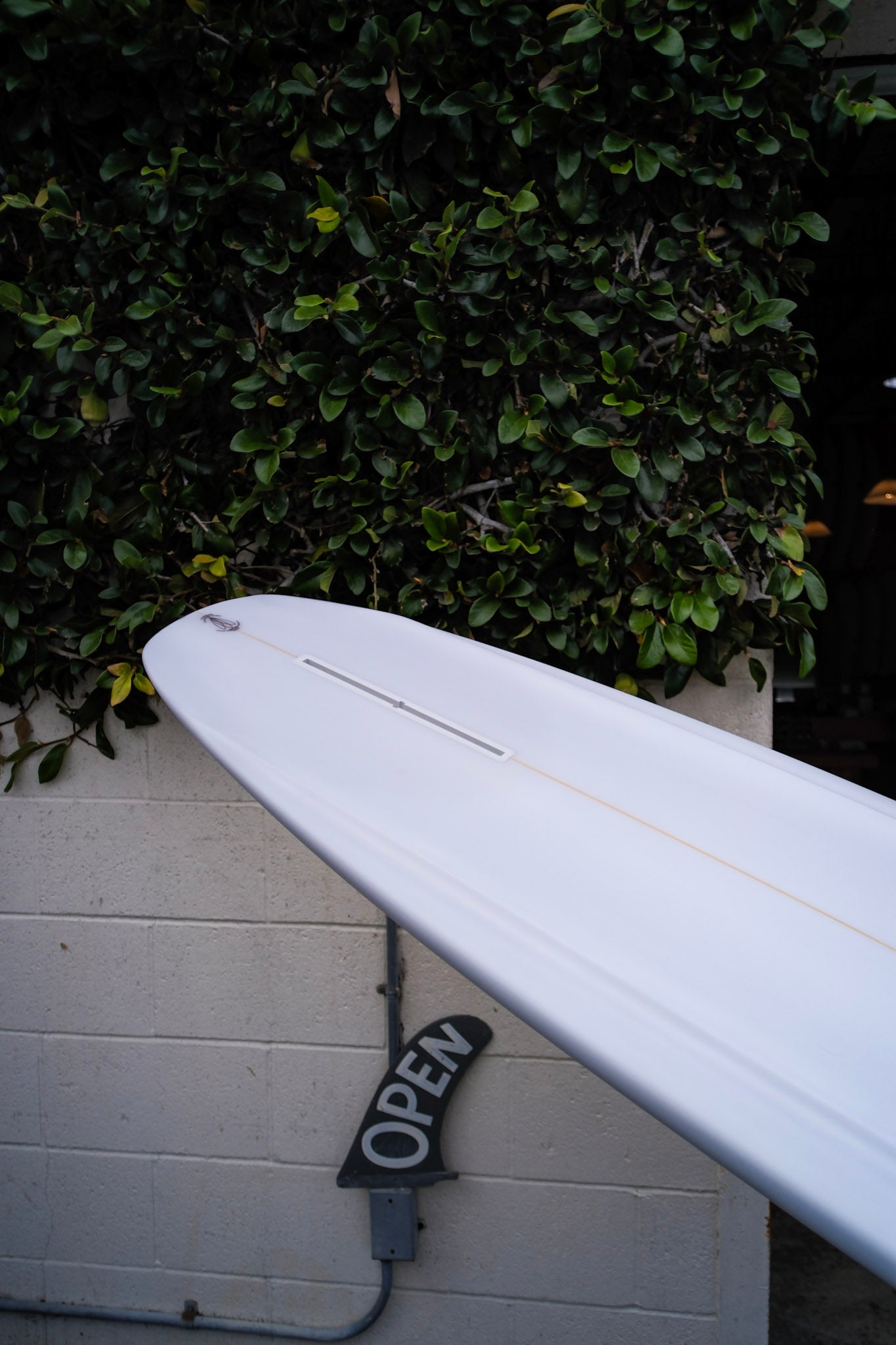 6'6 Wilderness Edge - Mollusk Surf Shop - description