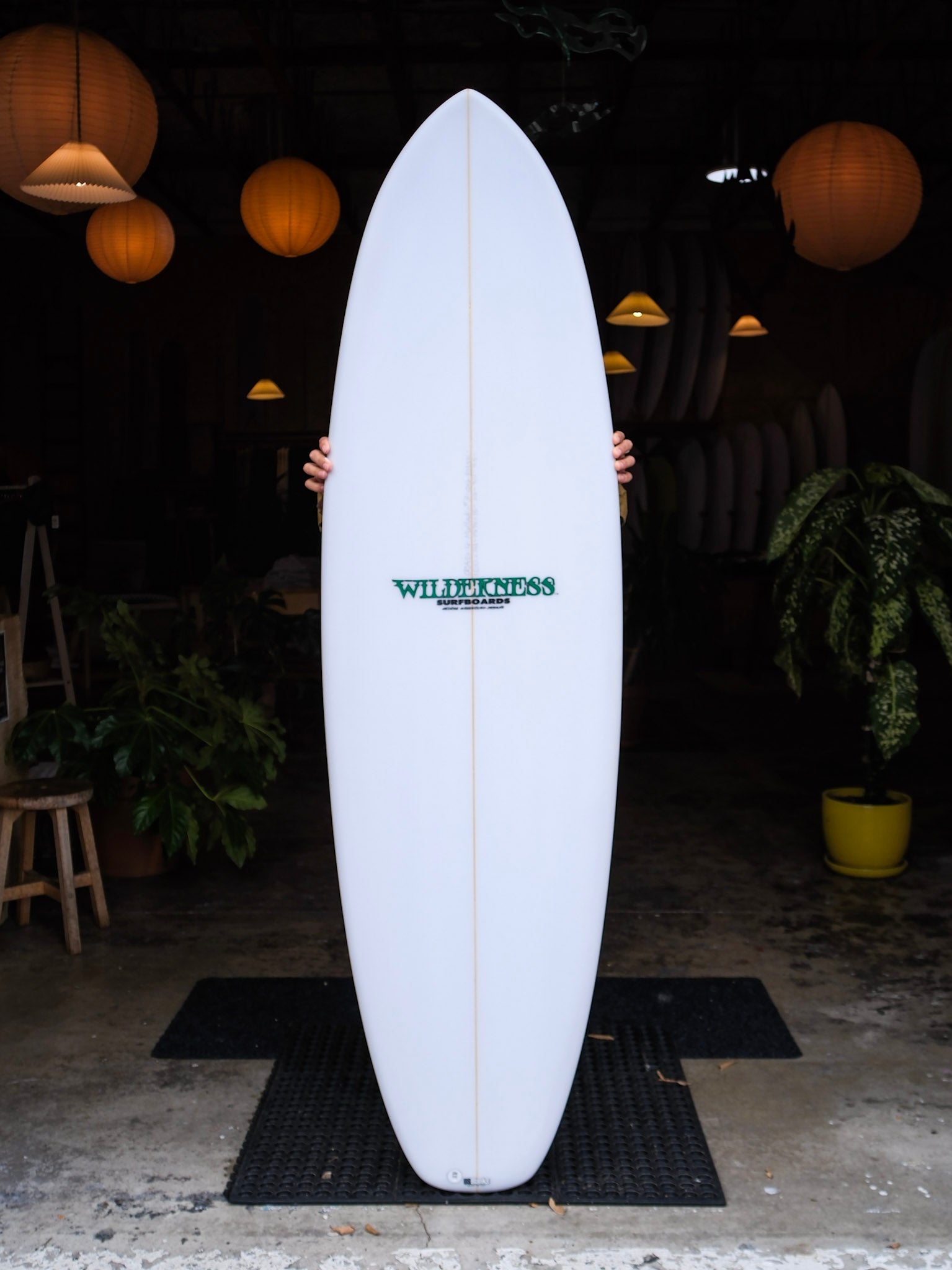 6'6 Wilderness Edge - Mollusk Surf Shop