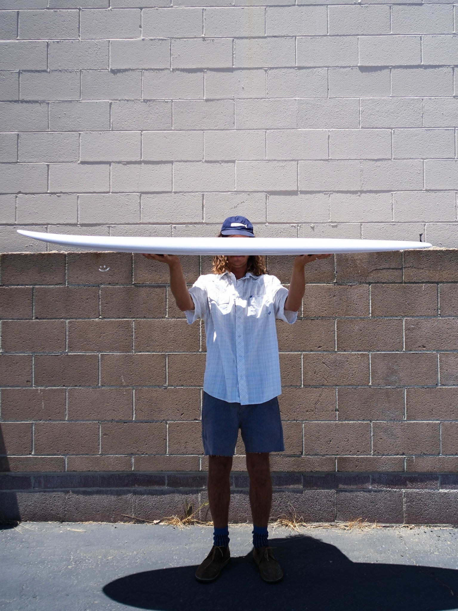 6'6 Wilderness Edge - Mollusk Surf Shop