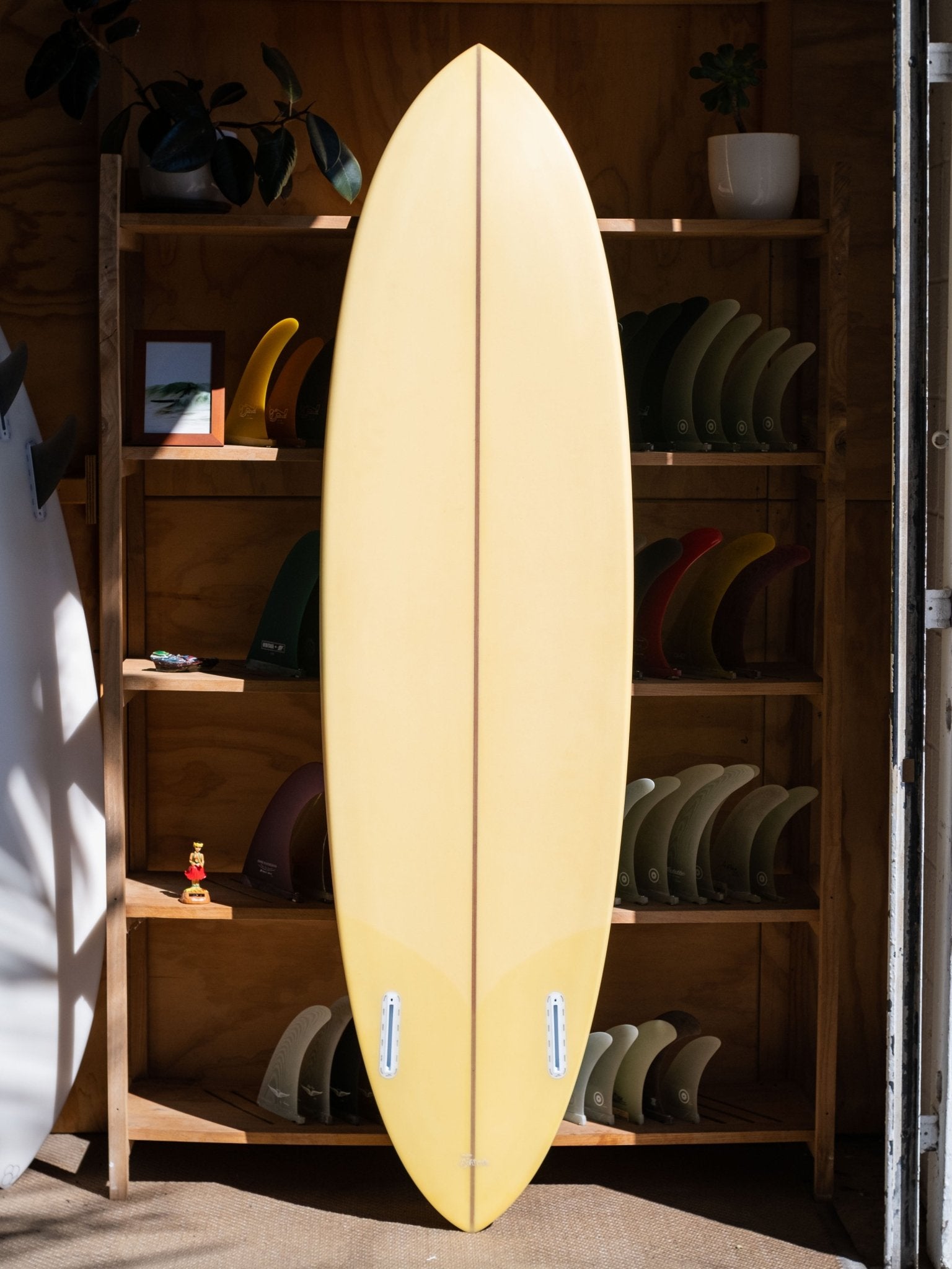 6'8 Jeff Svoboda Tarotplane - Mollusk Surf Shop