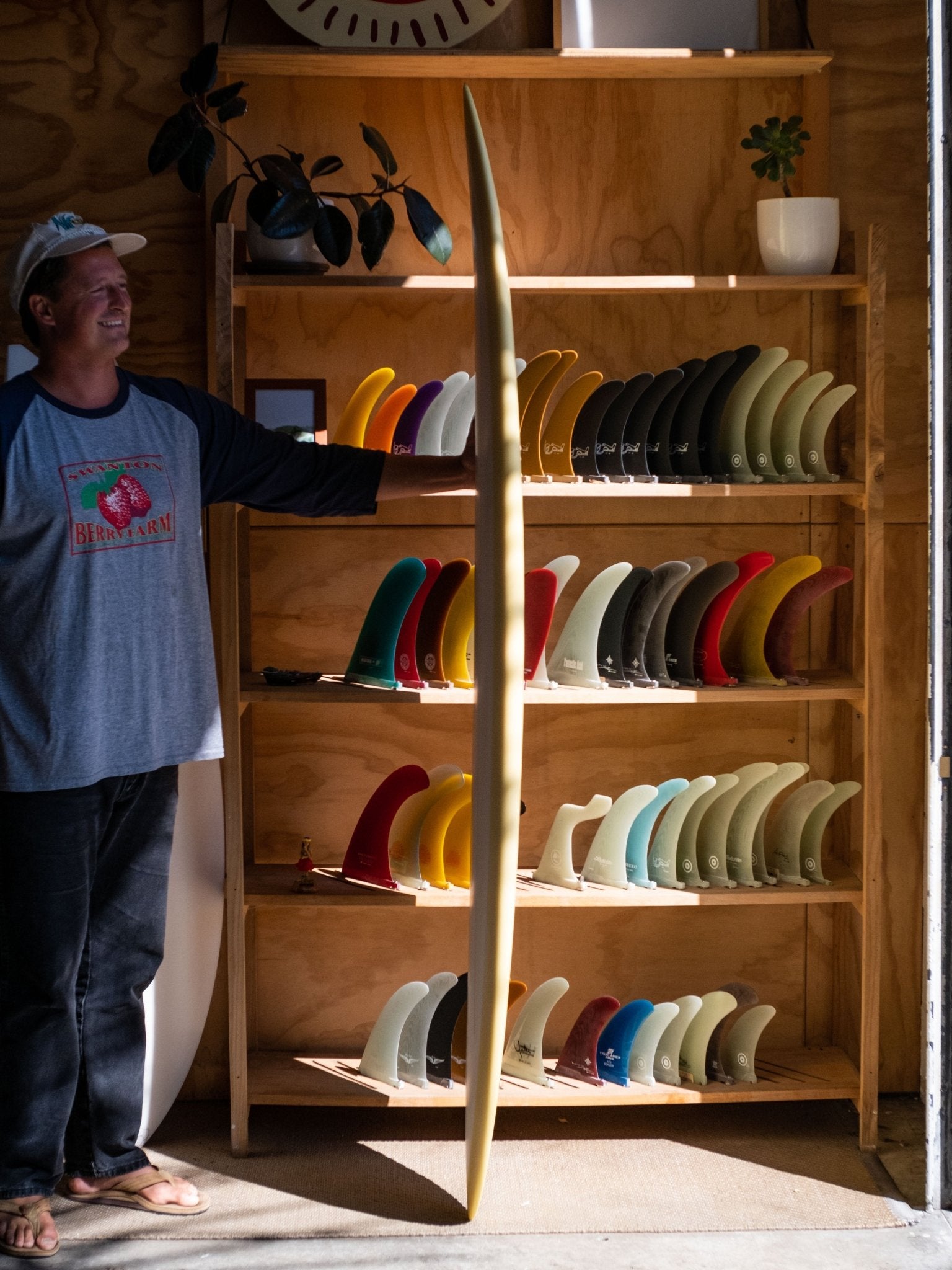 6'8 Jeff Svoboda Tarotplane - Mollusk Surf Shop