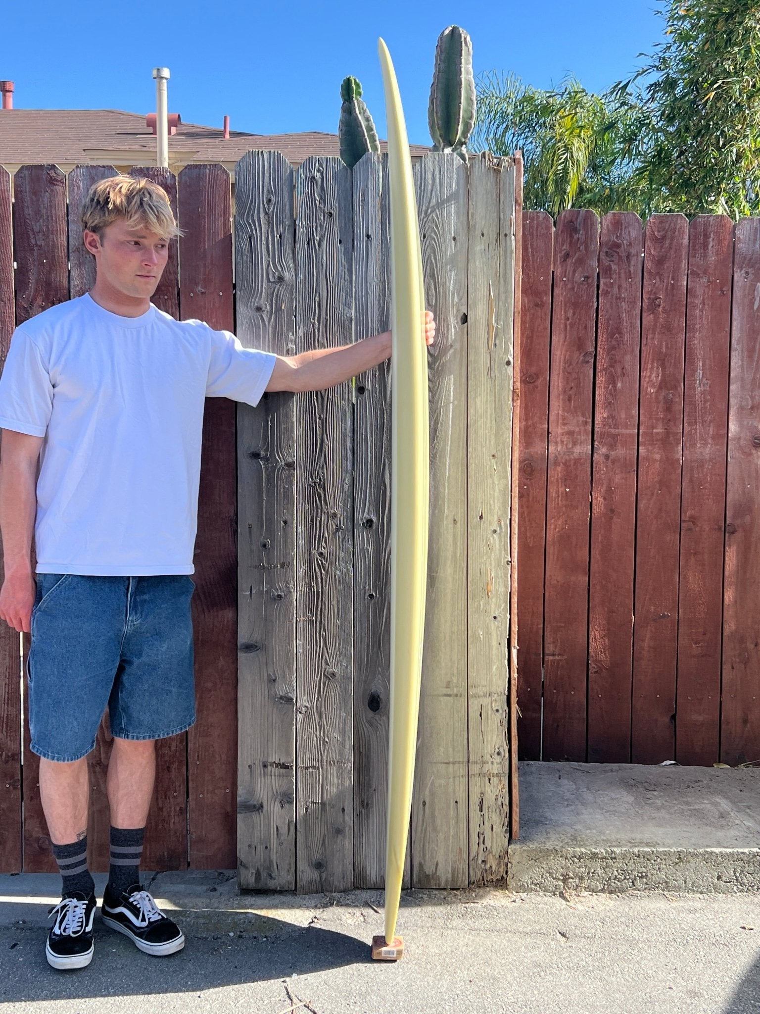 6'8 Jupiter Twinzer Egg - Mollusk Surf Shop