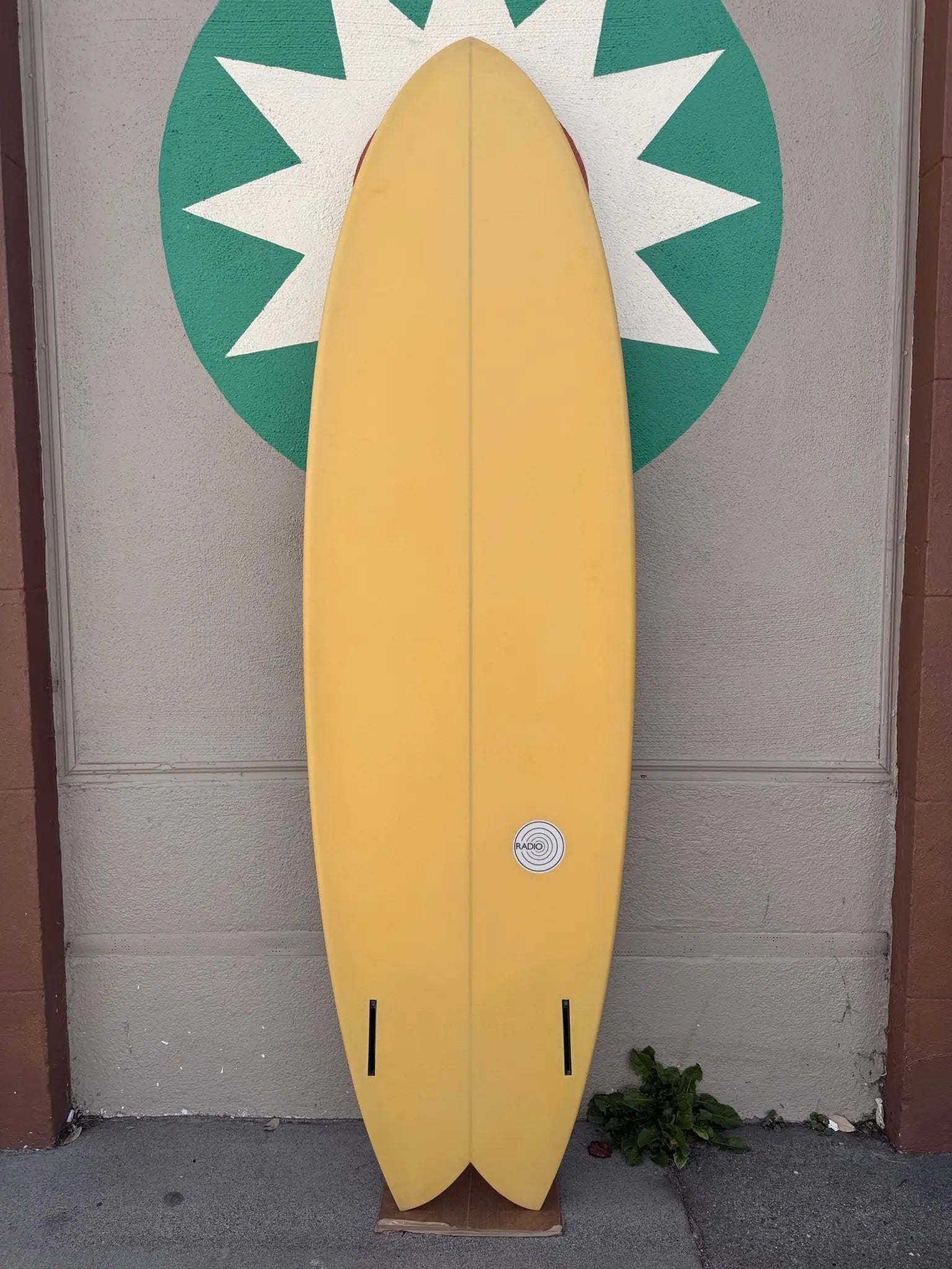 6'8 Radio Spicy Fish - Mollusk Surf Shop
