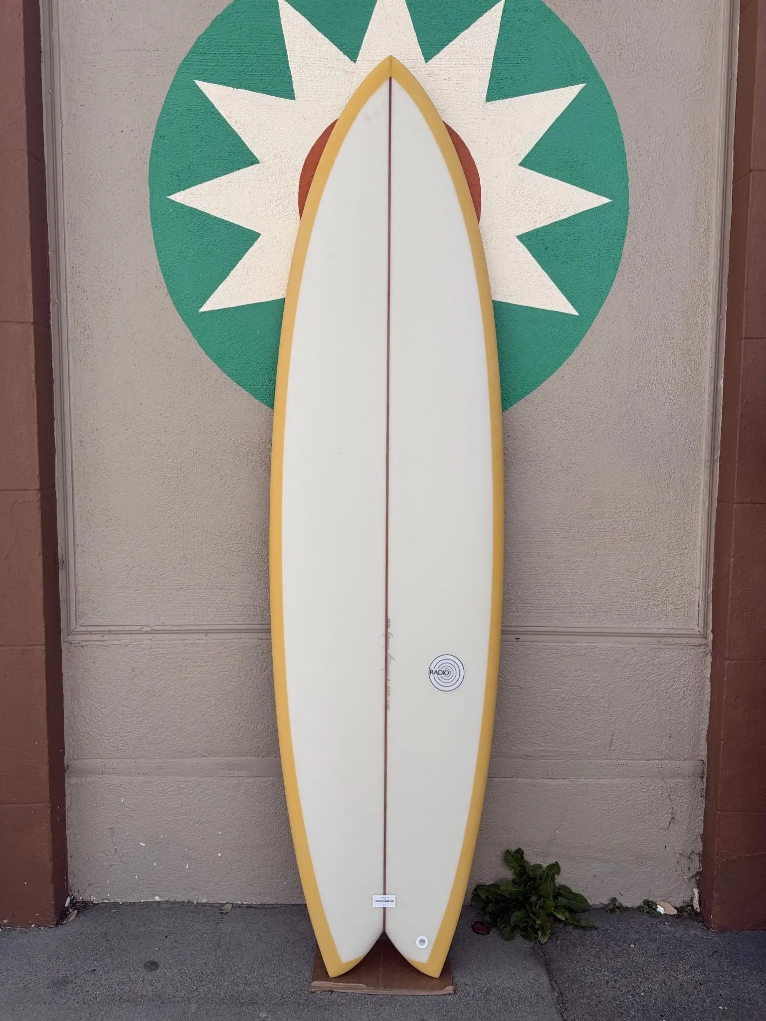 6'8 Radio Spicy Fish - Mollusk Surf Shop